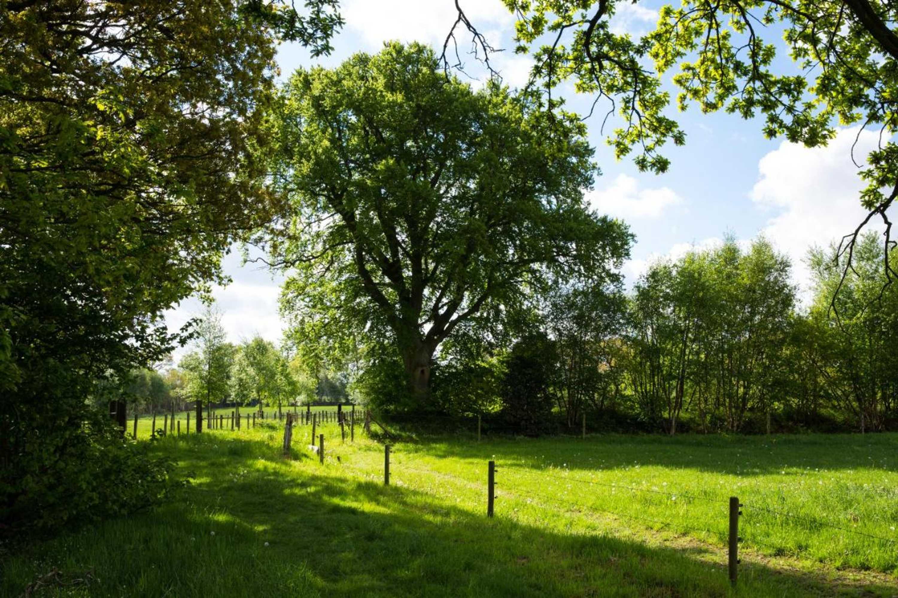 Gift card for Het Schepershoes