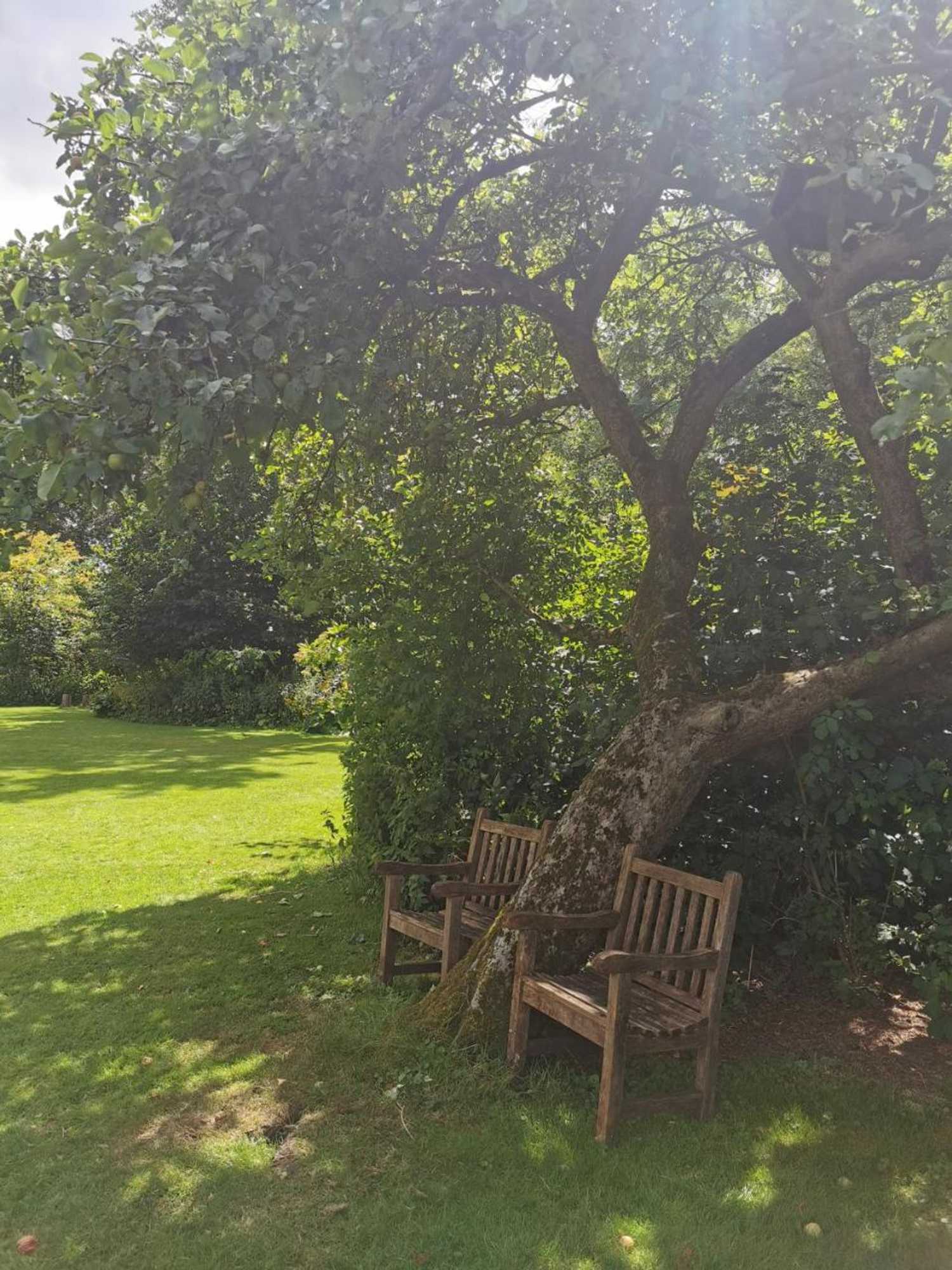 Gift card for Gastenverblijf 't Oelengoor