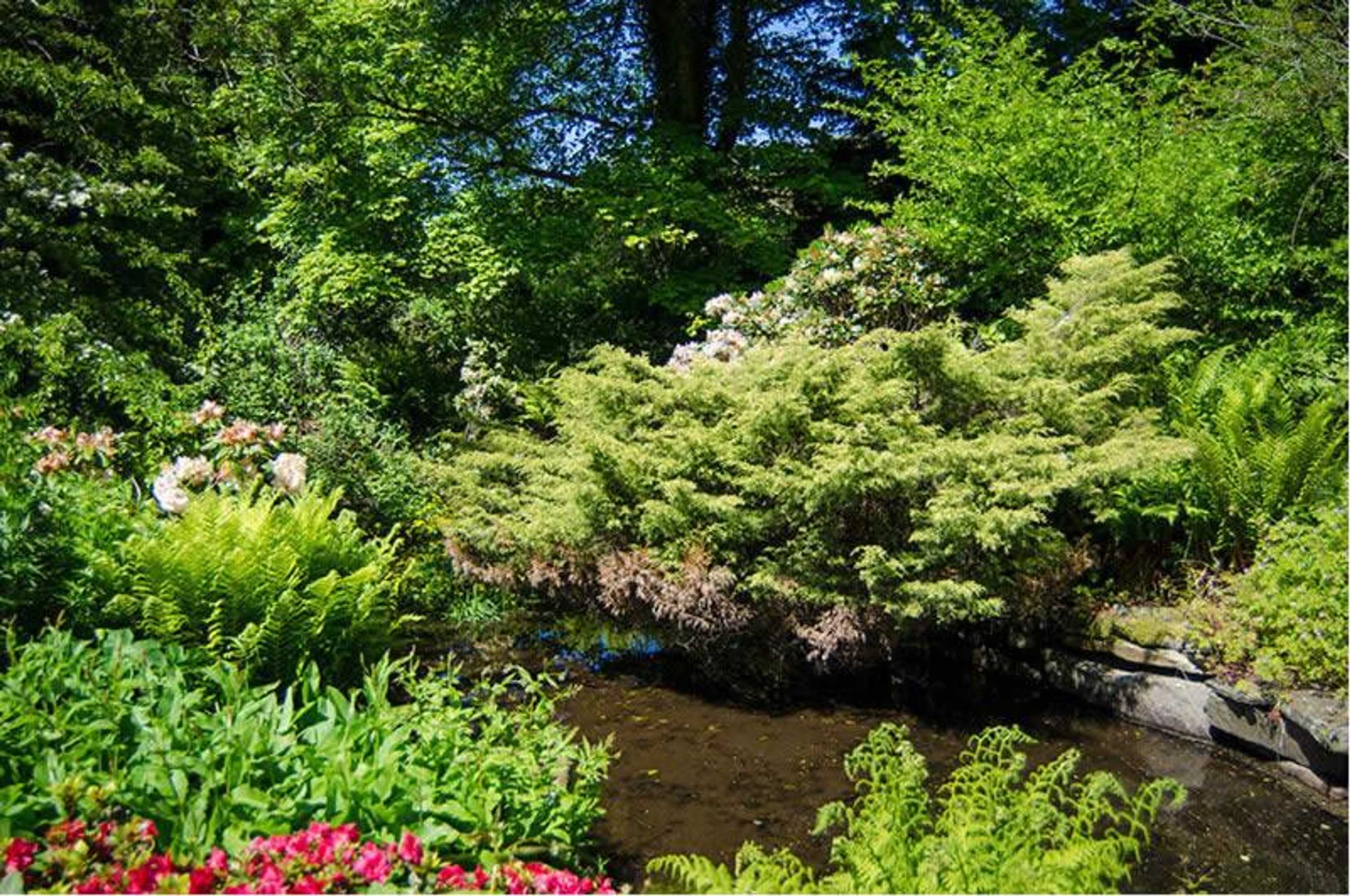 Gift card for Nutgrove House Luxury B&b