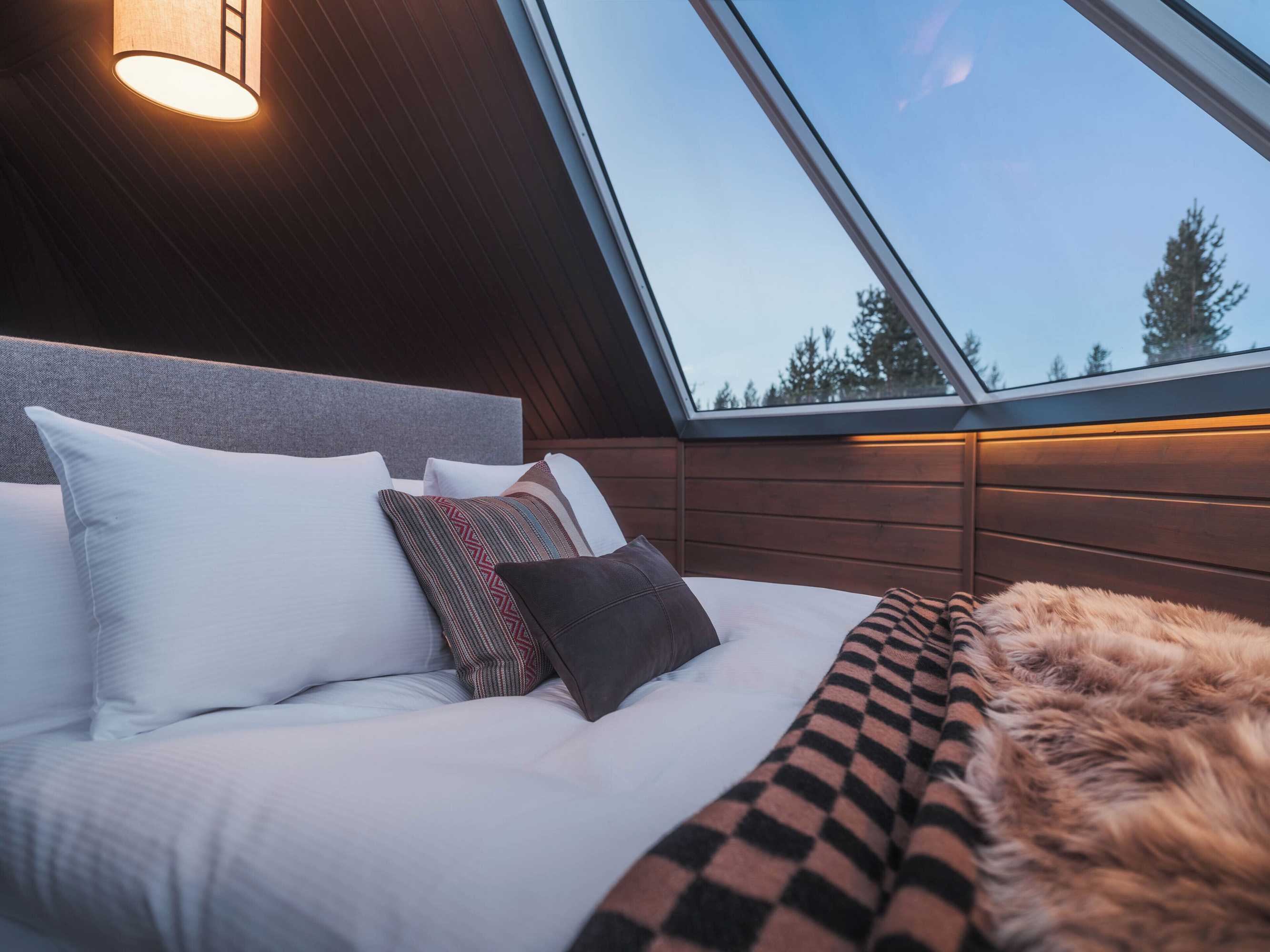 Gift card for Reindeer Manor Levi Gift card for Reindeer Manor Levi