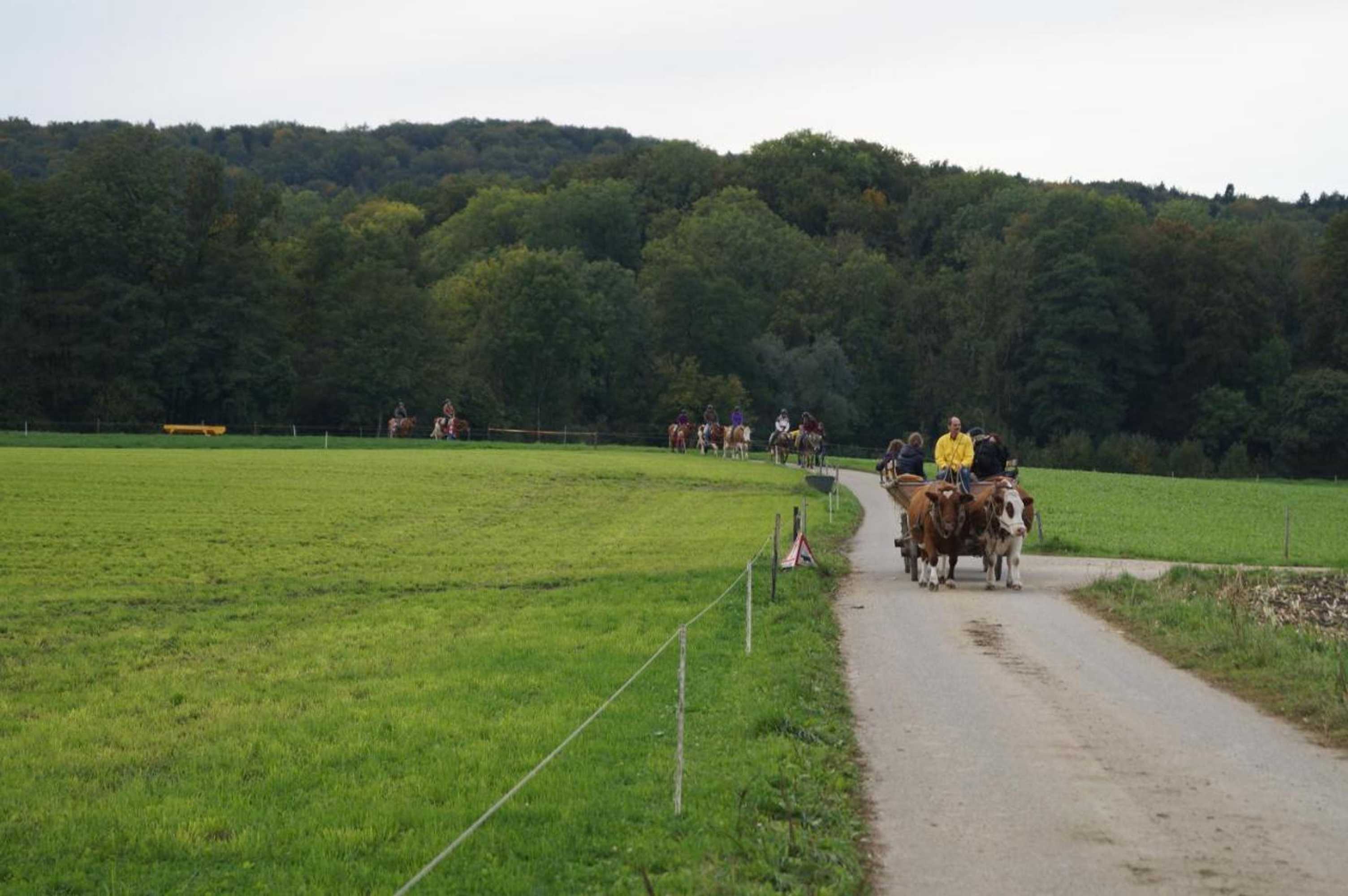 Gift card for Bolderhof