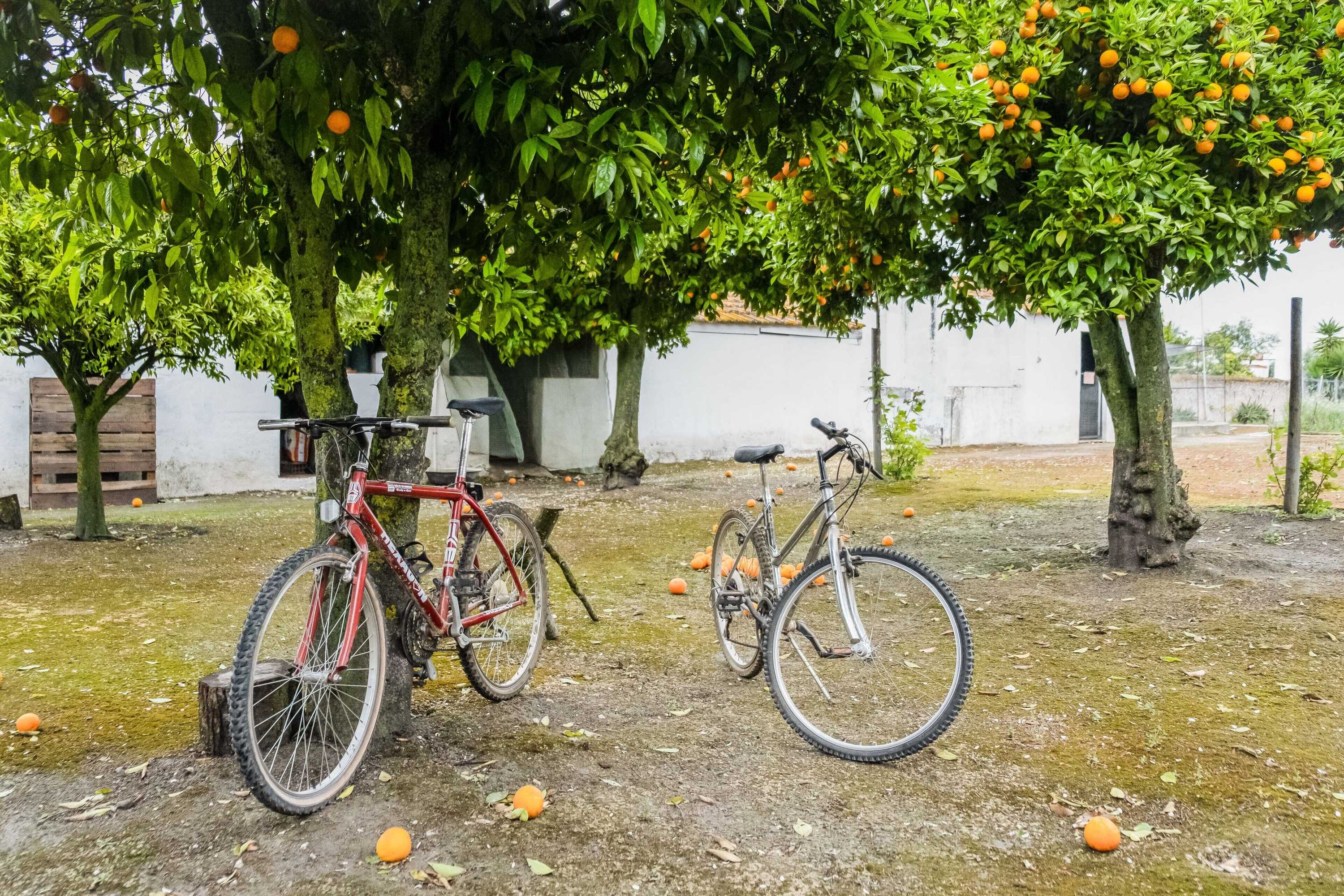 Gift card for Casa Dos Condes