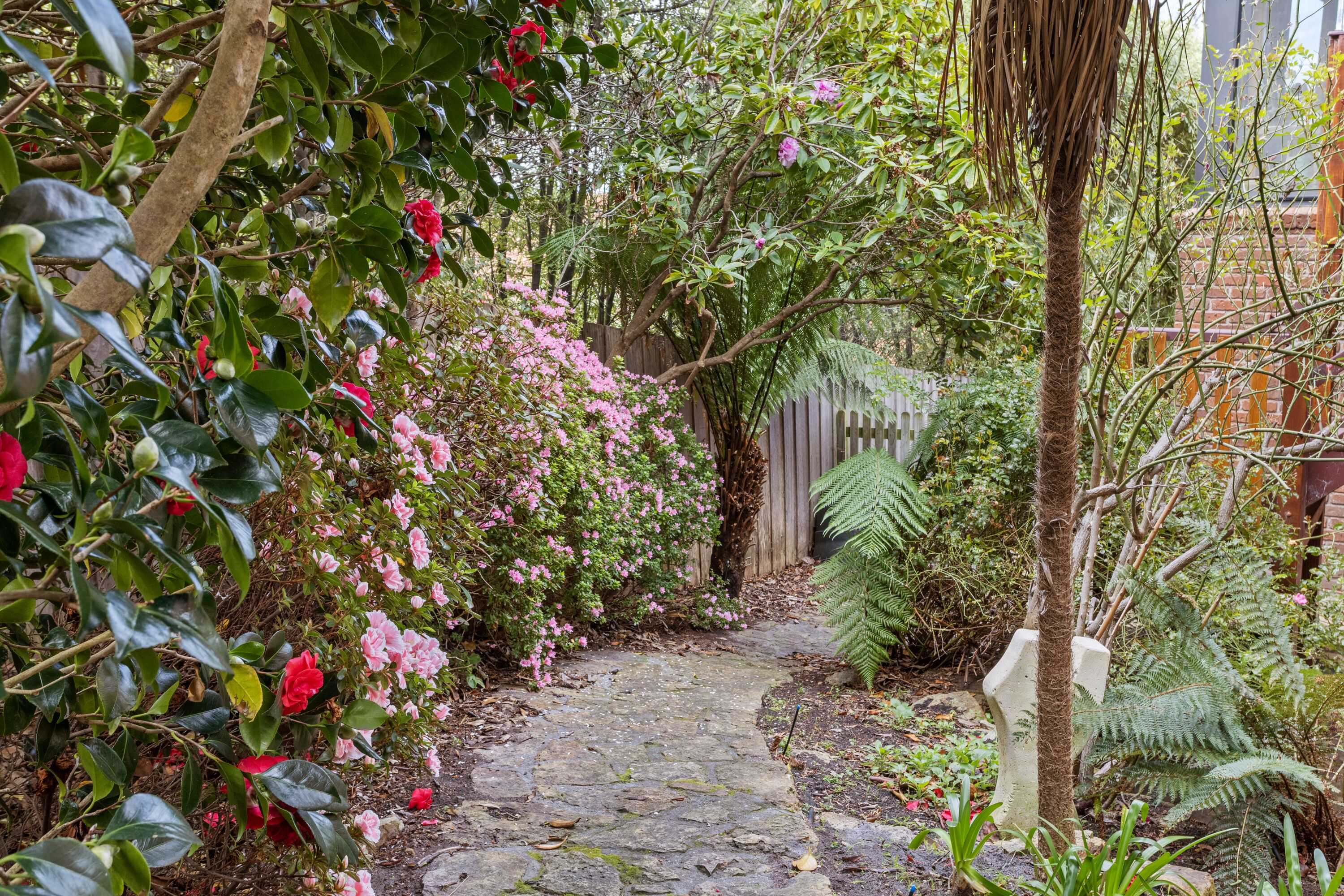 Gift card for Cedar Cottages Blackmans Bay