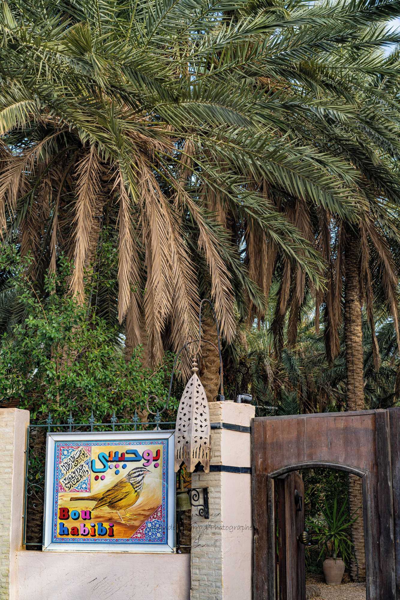 Gift card for Hotel Diar Abou Habibi