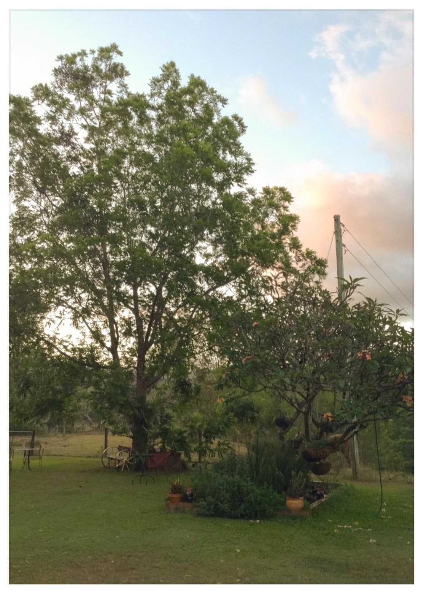 Gift card for Bielby's Hideaway