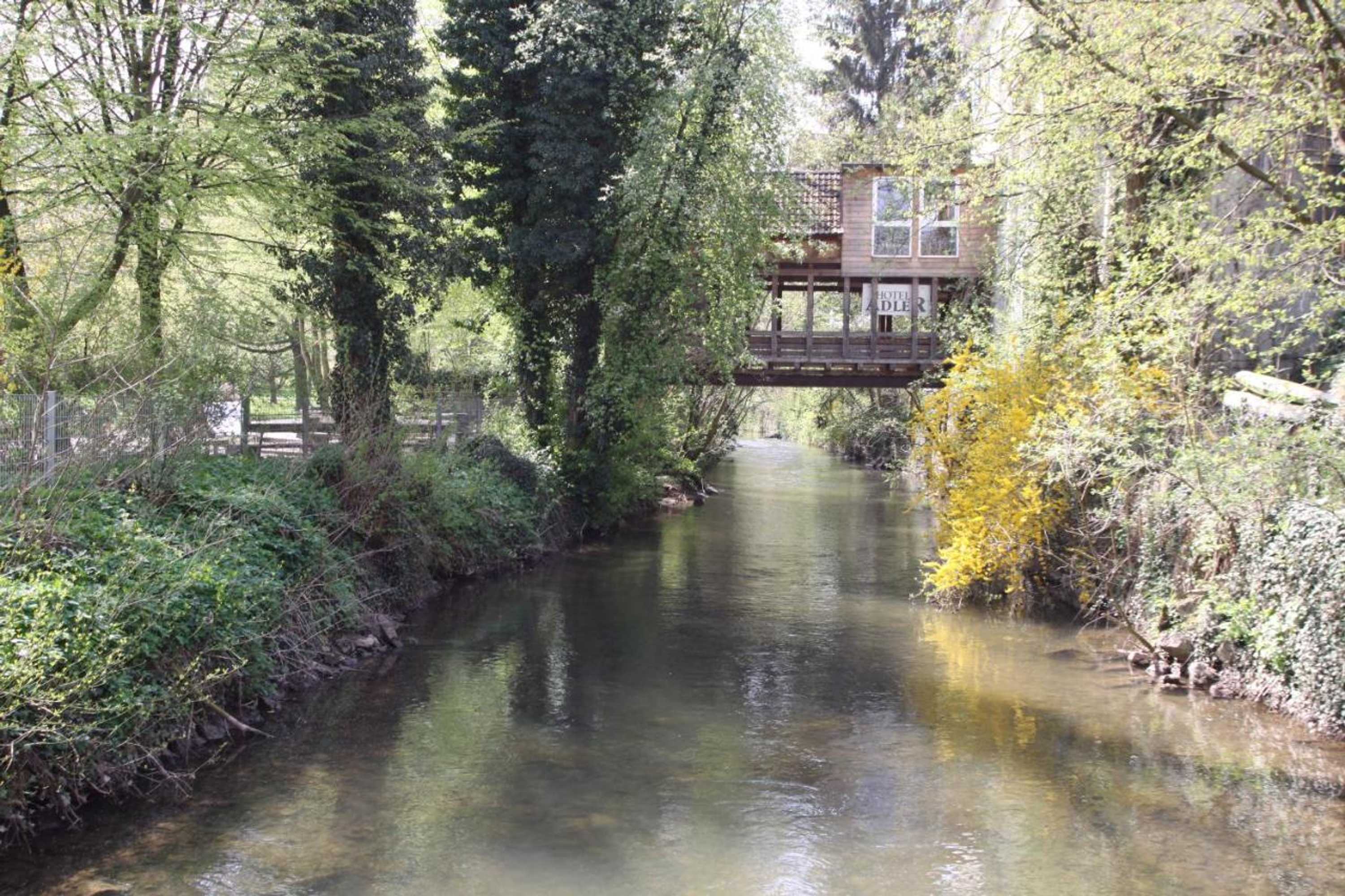 Gift card for Hotel Adler