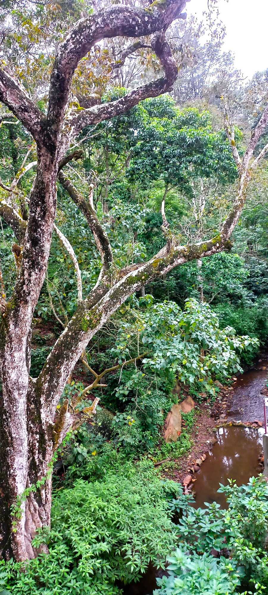 Gift card for Istays - Loop Road, Yercaud Gift card for Istays - Loop Road, Yercaud