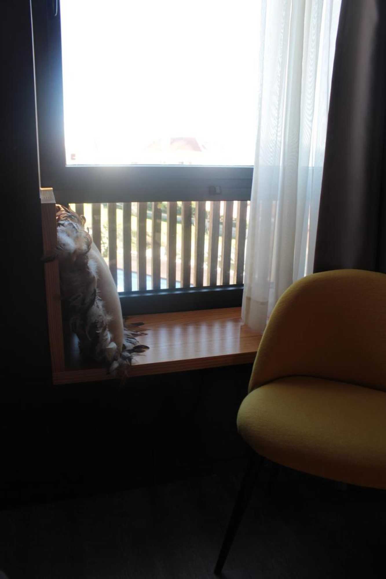 Gift card for Casas da Li