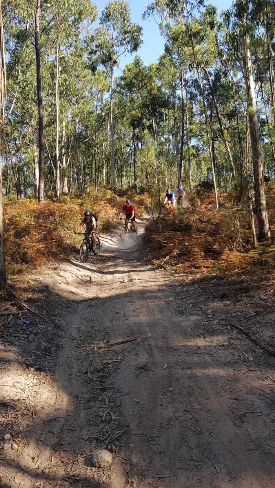 Gift card for Innesposende Sports Hostel