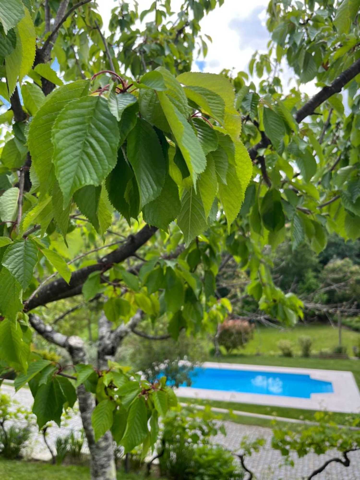 Gift card for Casa da Ribeira do Círio