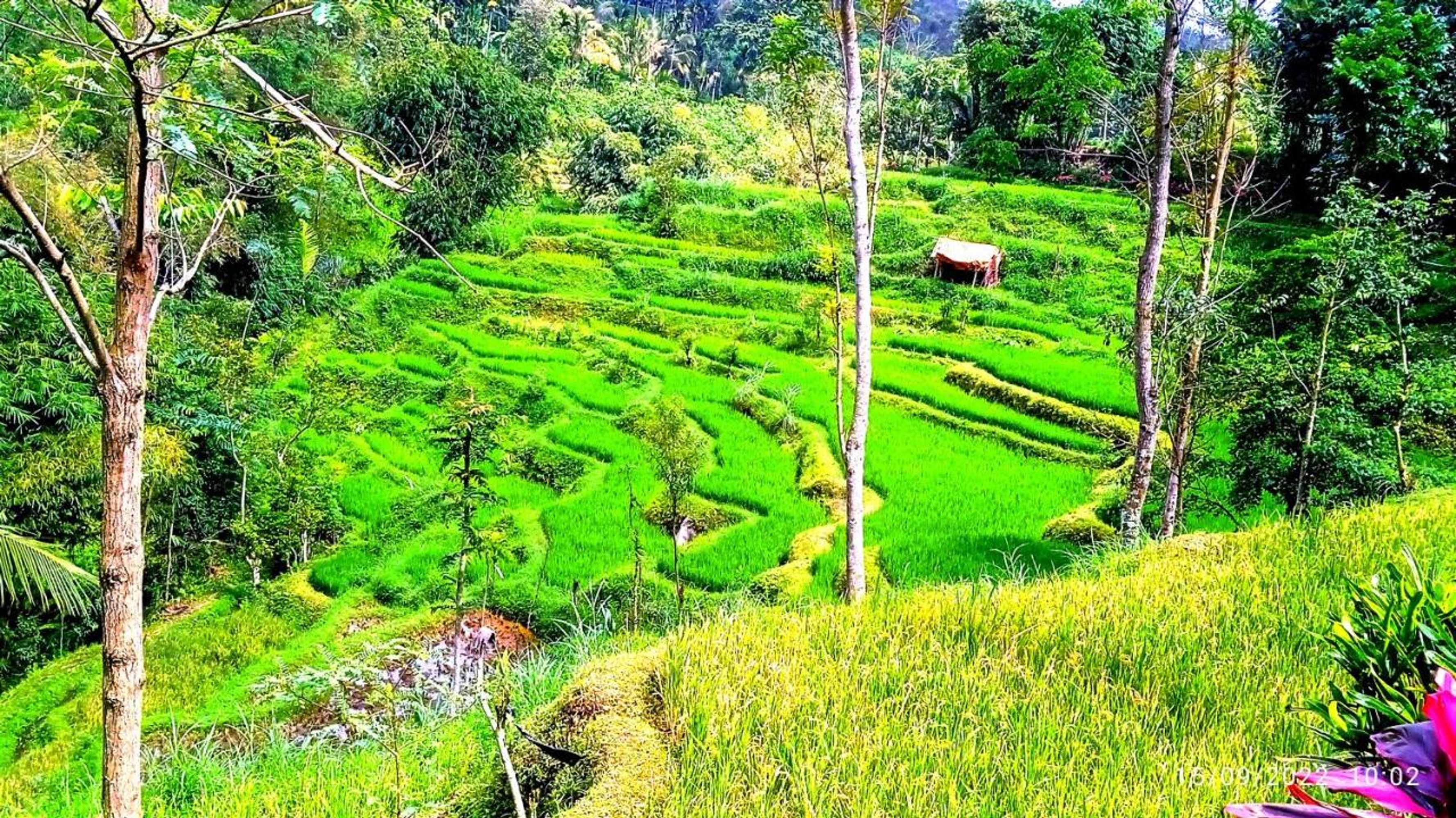 Gift card for Ariel Bungalow Tetebatu