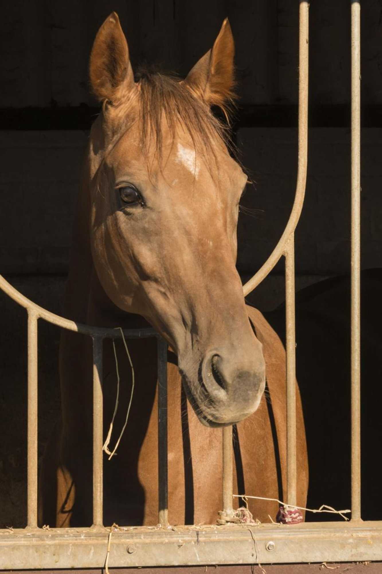 Gift card for Hotel Restaurant Häsfeld