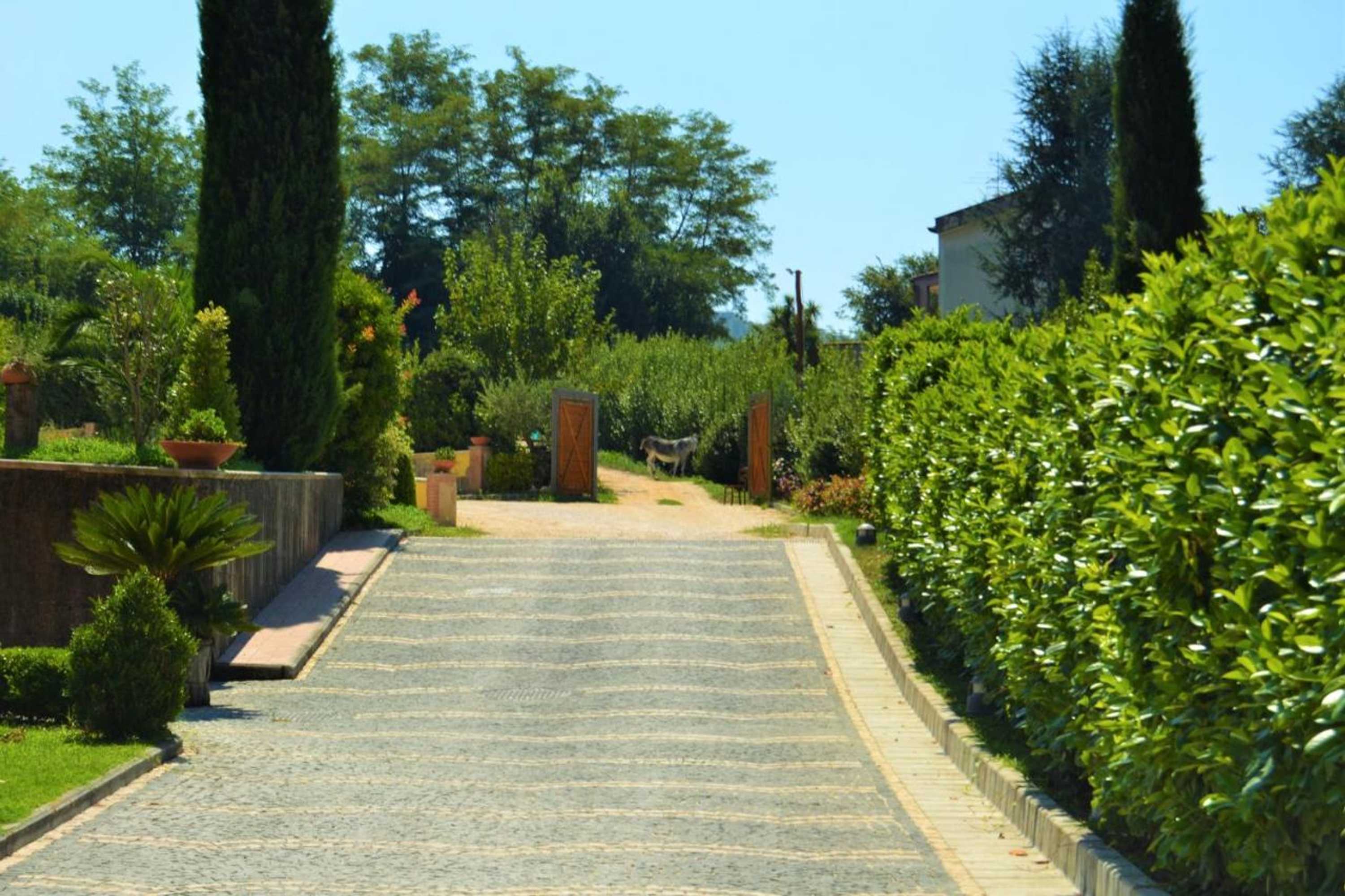 Gift card for Agriturismo San Martino Gift card for Agriturismo San Martino