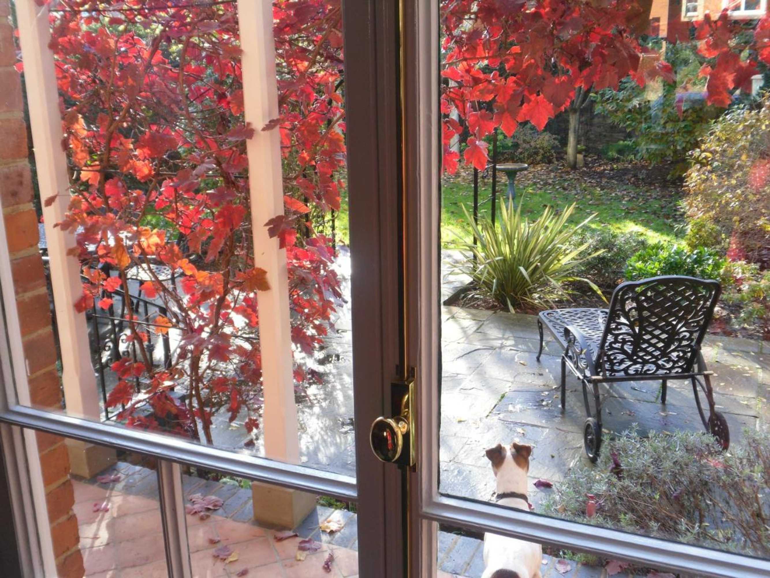 Gift card for Banbury Cross B&b