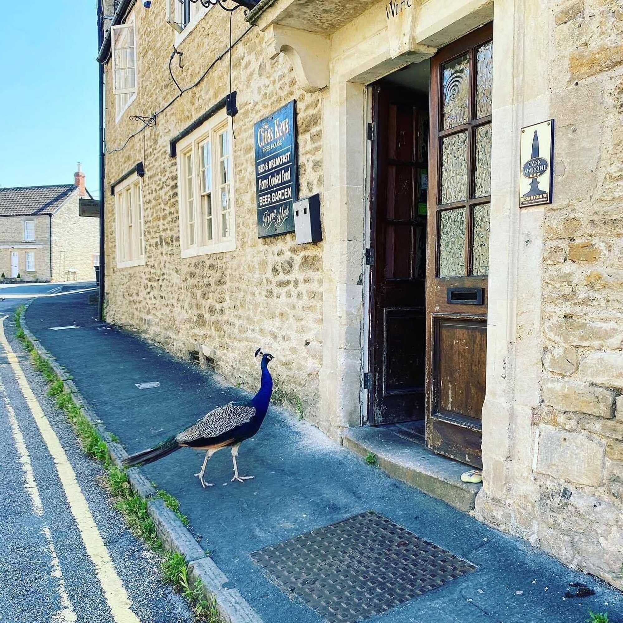 Gift card for The Cross Keys