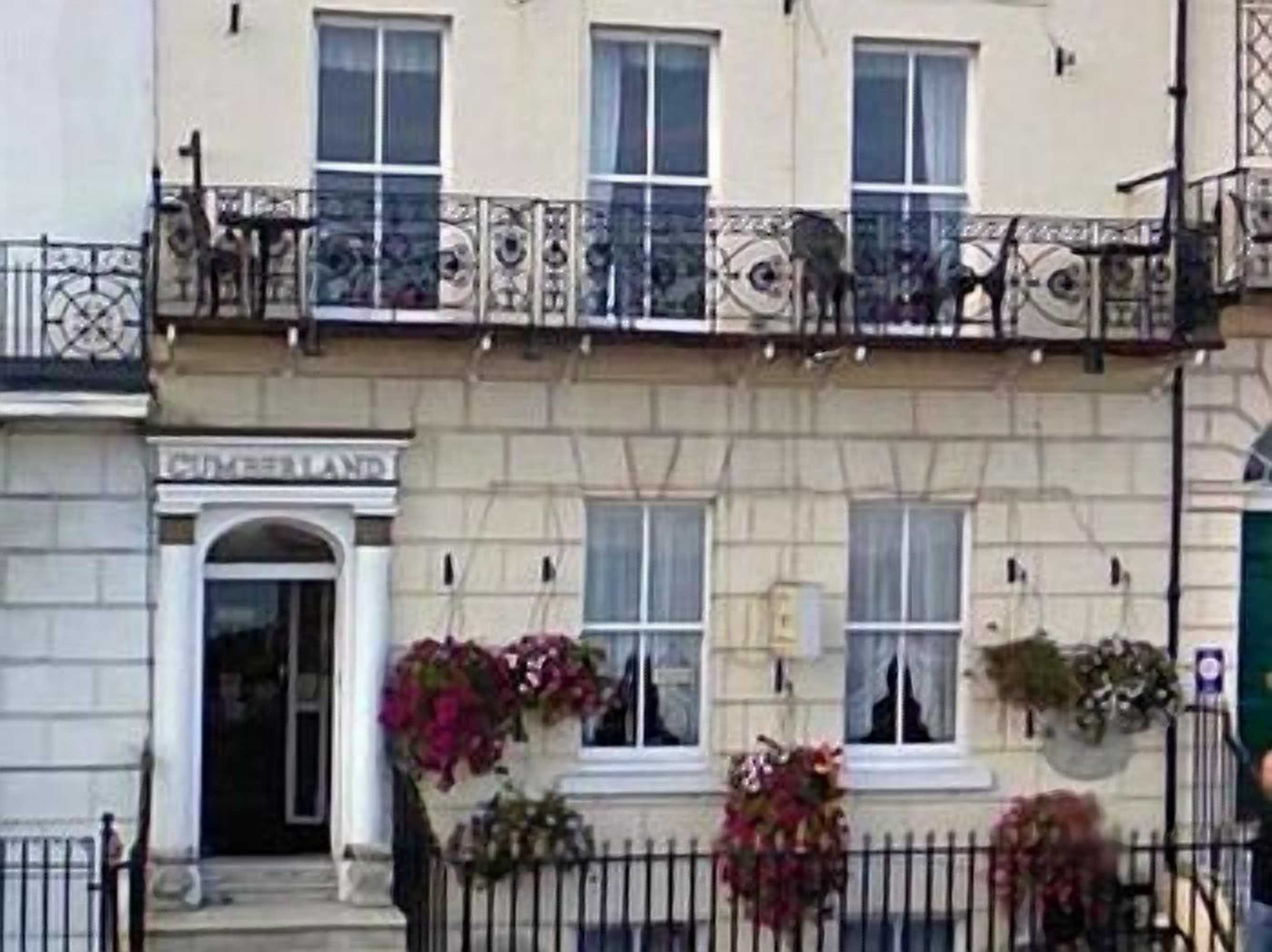 Gift card for The Cumberland