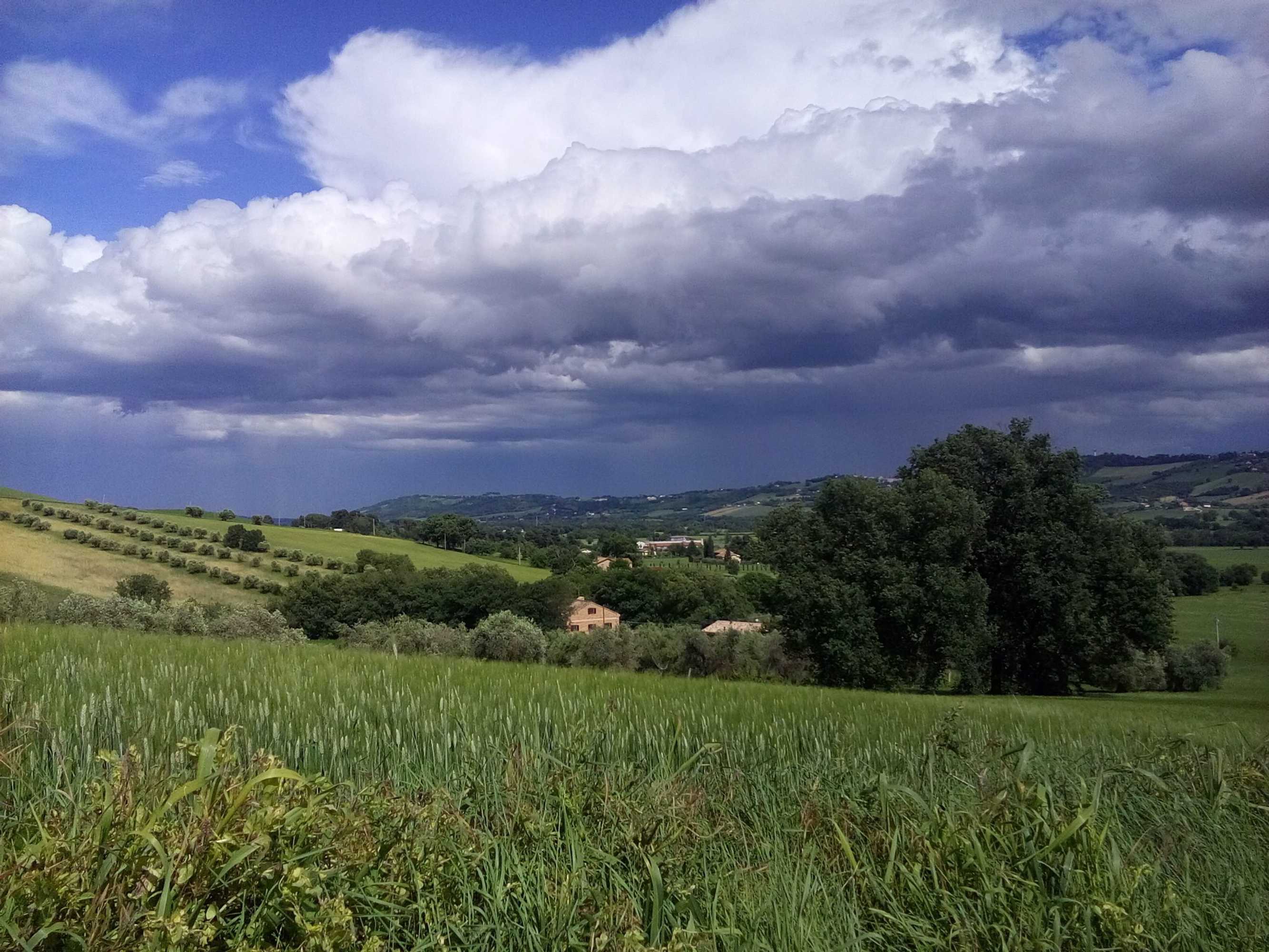 Gift card for Agriturismo Forestale Luti Gift card for Agriturismo Forestale Luti