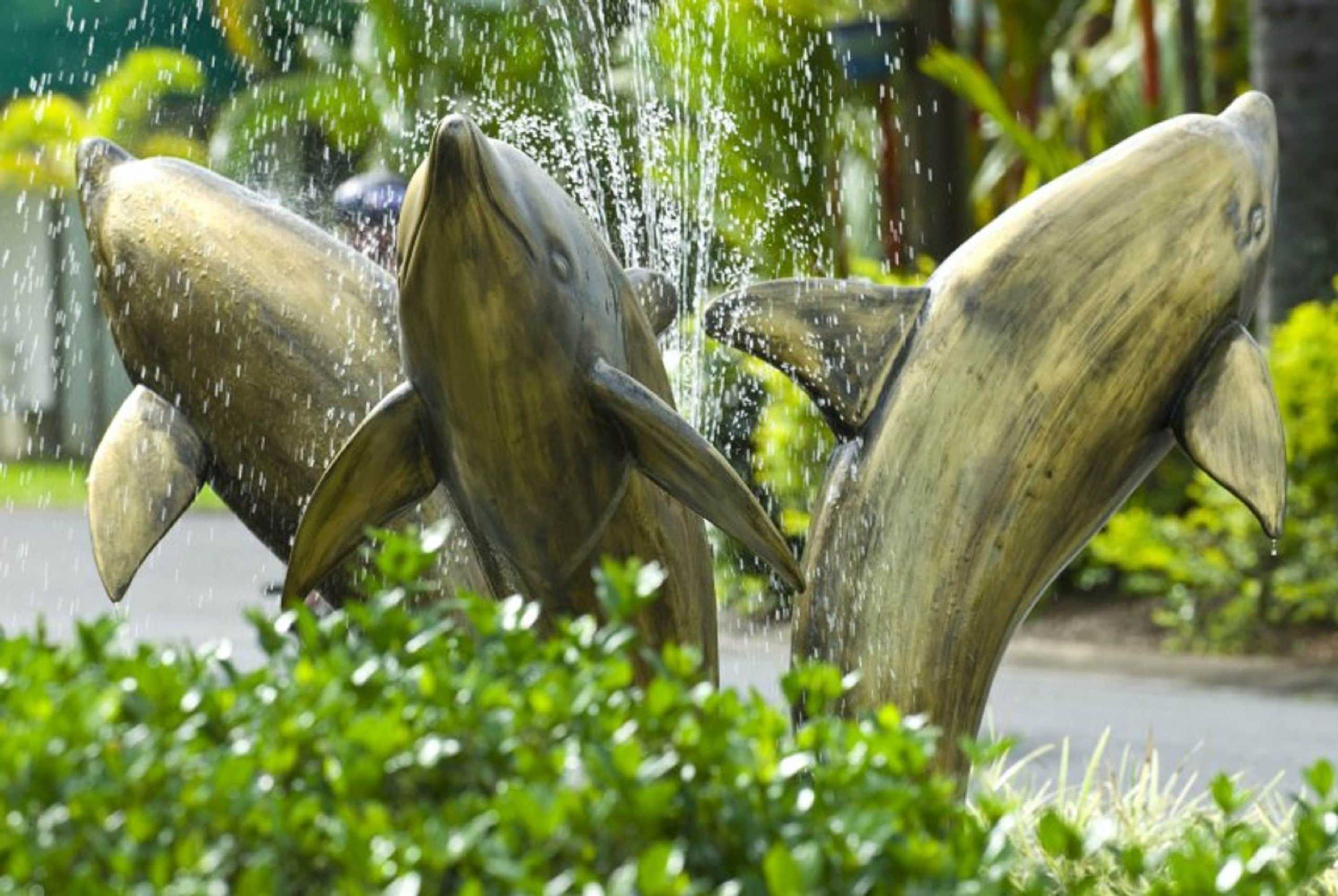 Gift card for Ingenia Holidays Cairns Coconut Gift card for Ingenia Holidays Cairns Coconut
