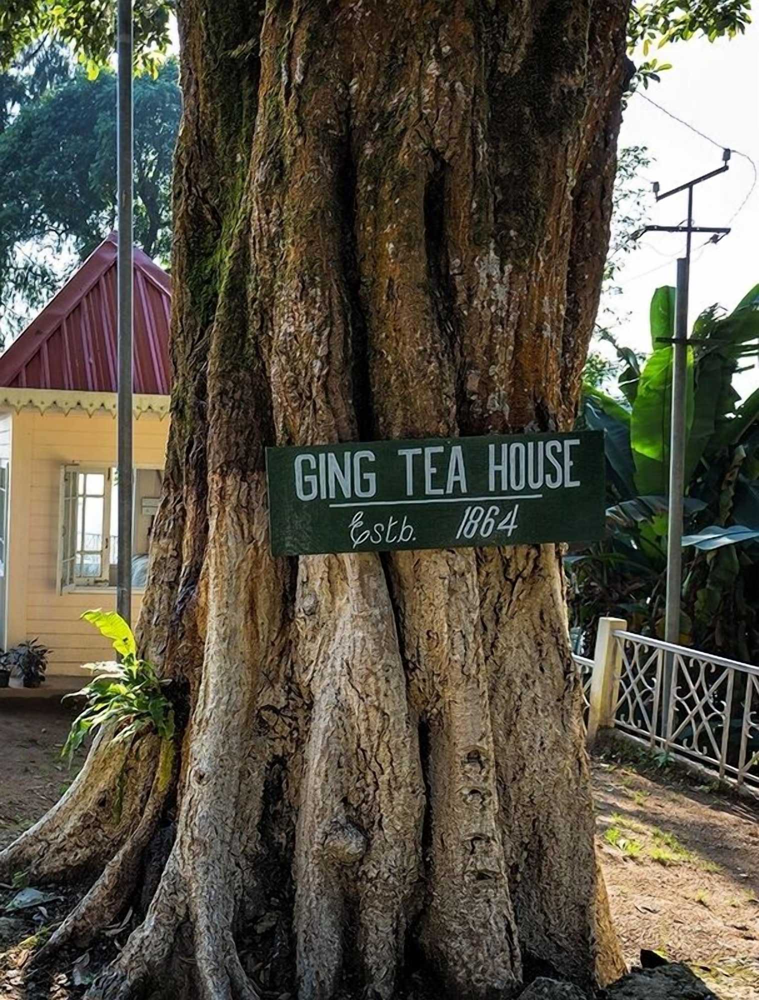 Gift card for Ging Tea House Gift card for Ging Tea House
