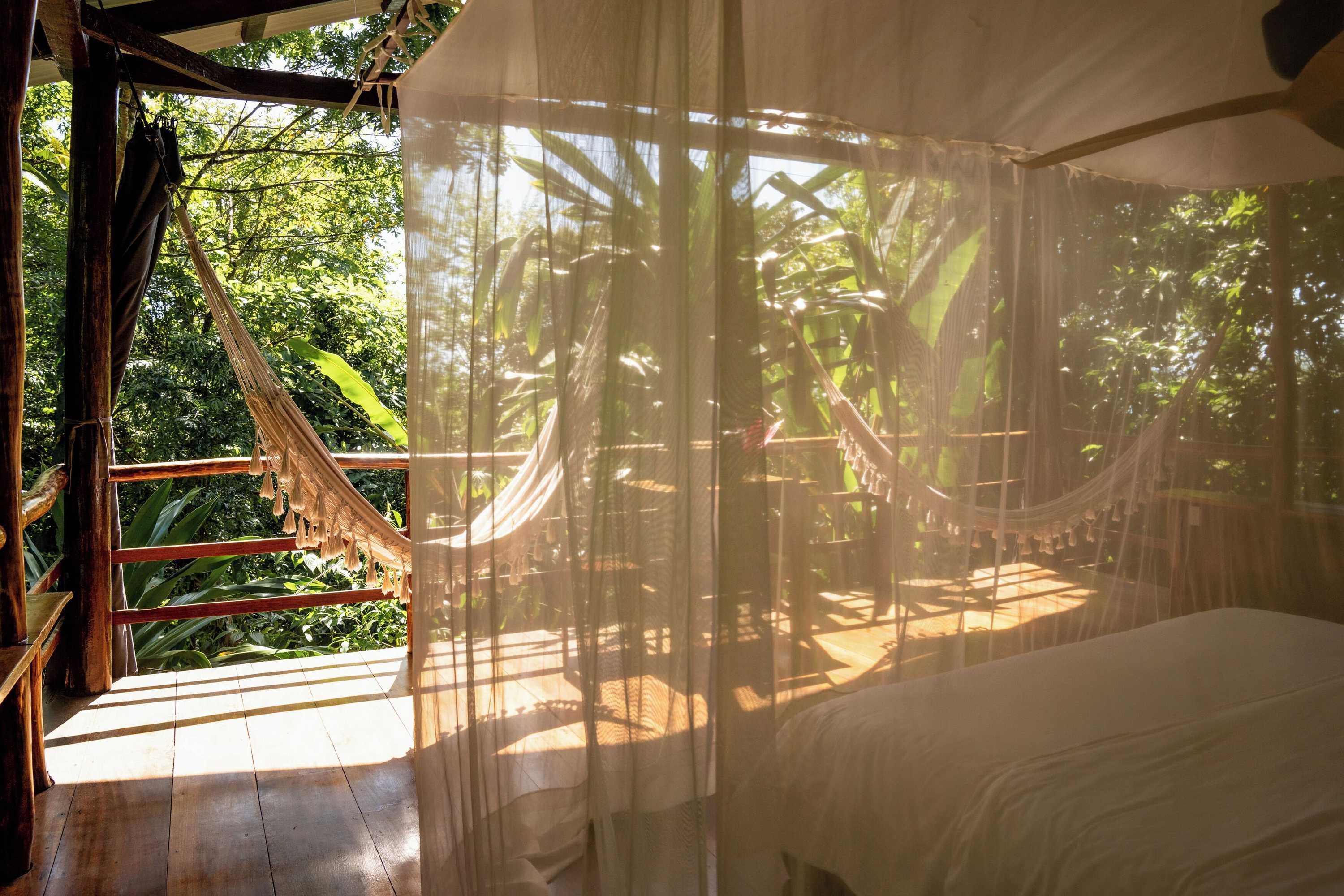 Gift card for La Loma Jungle Lodge & Chocolate Farm Gift card for La Loma Jungle Lodge & Chocolate Farm