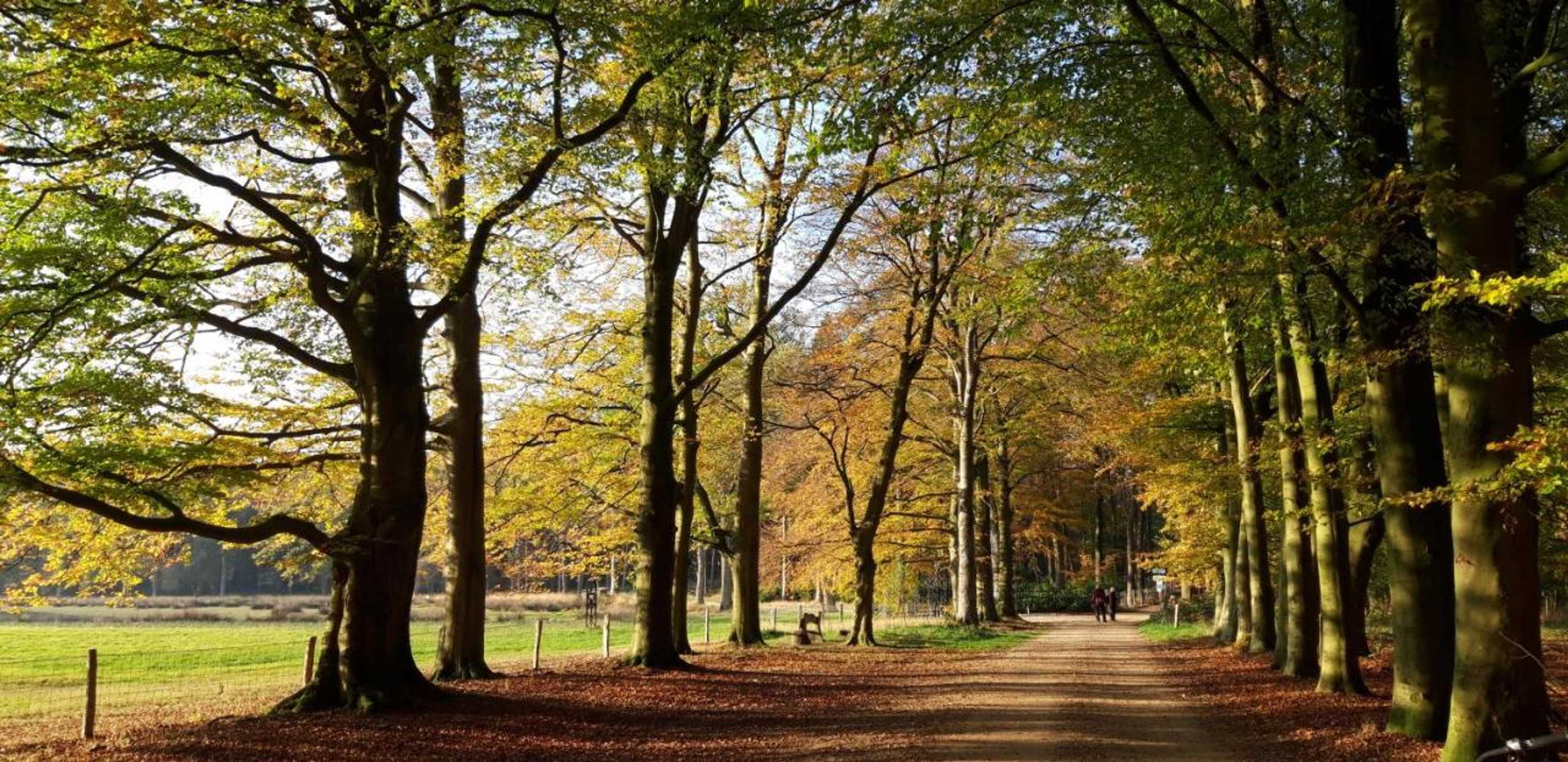 Gift card for B&b Veluwemeerpension