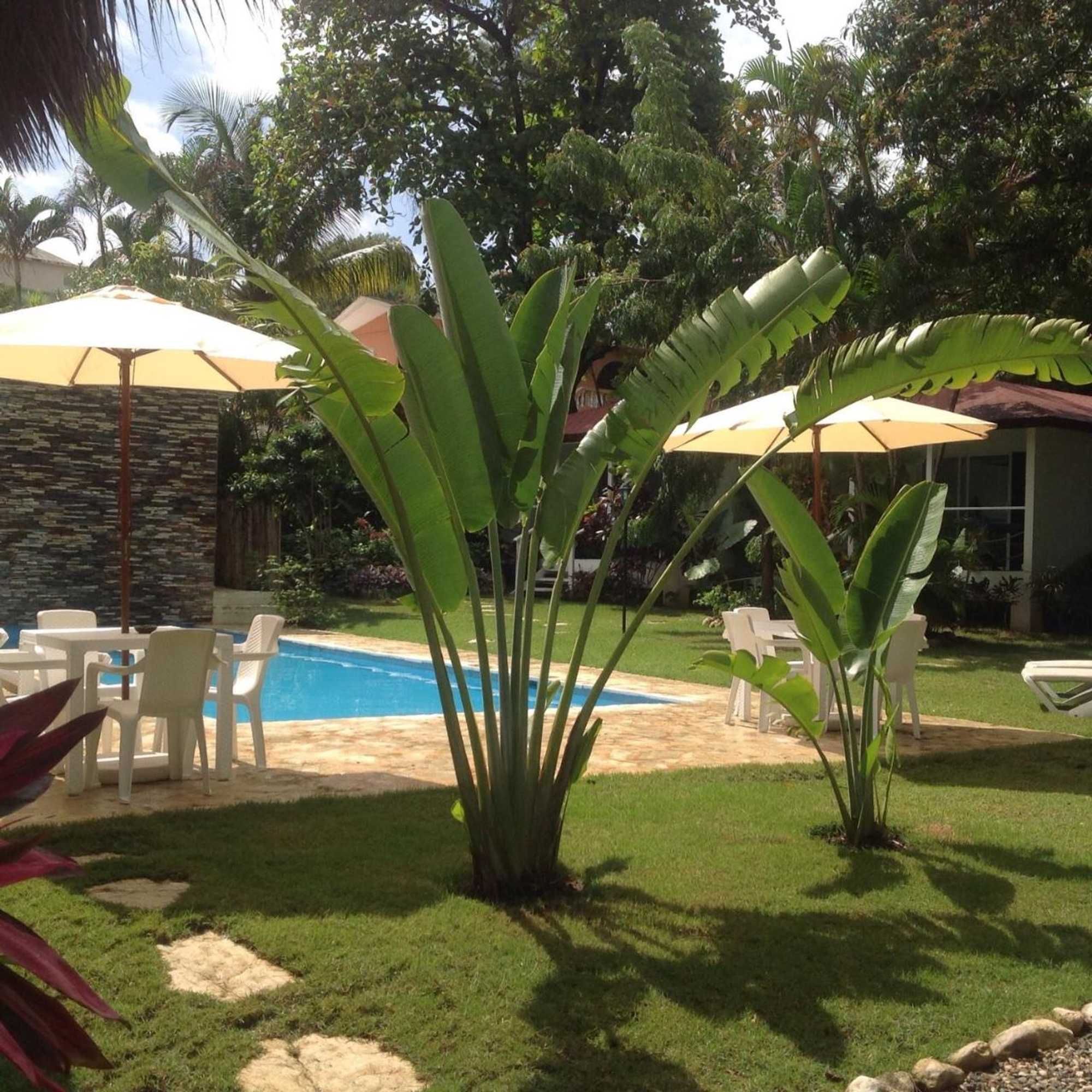 Gift card for Bungalow Natura Village