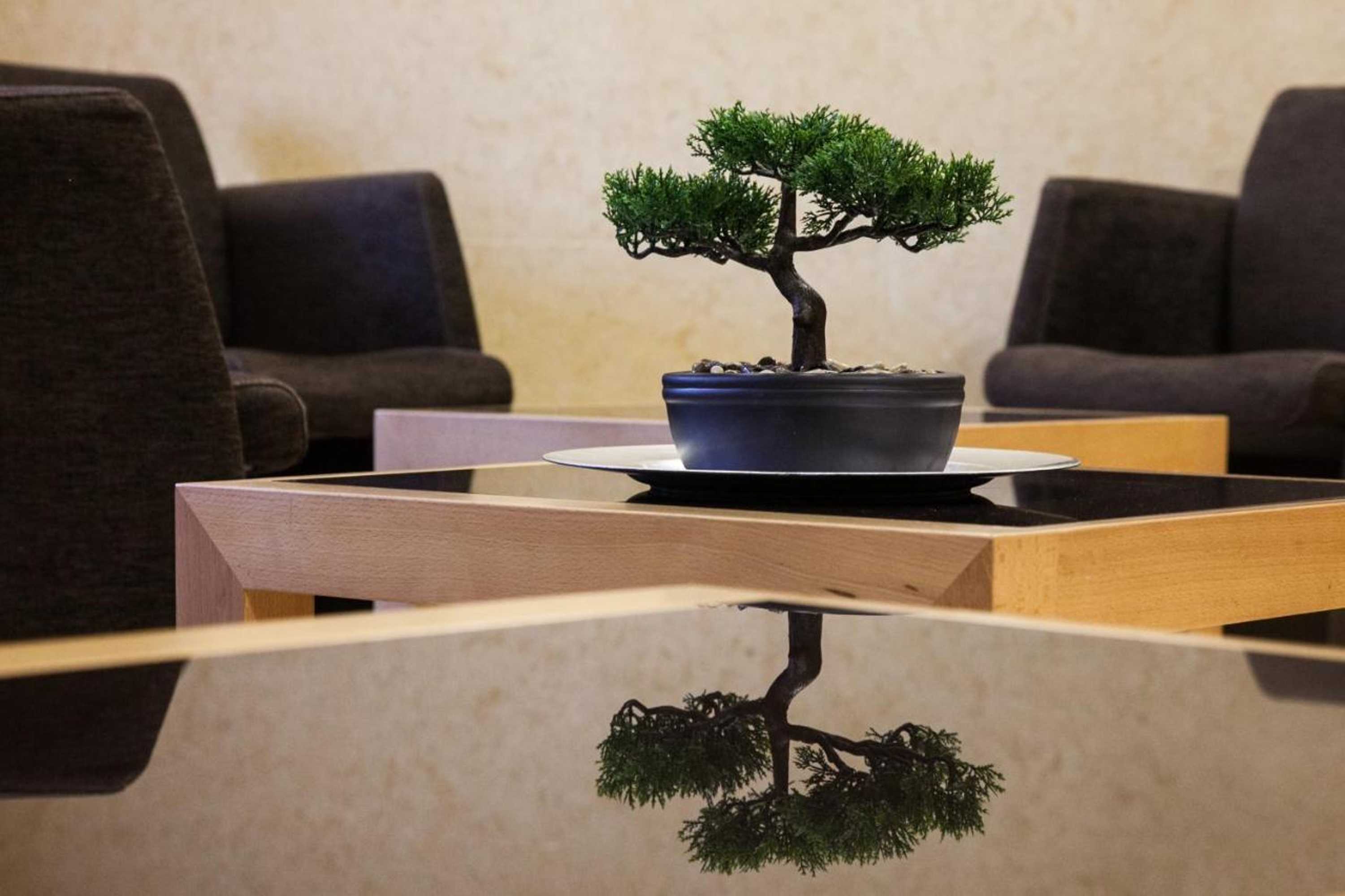 Gift card for Hotel Dunas D'ovar