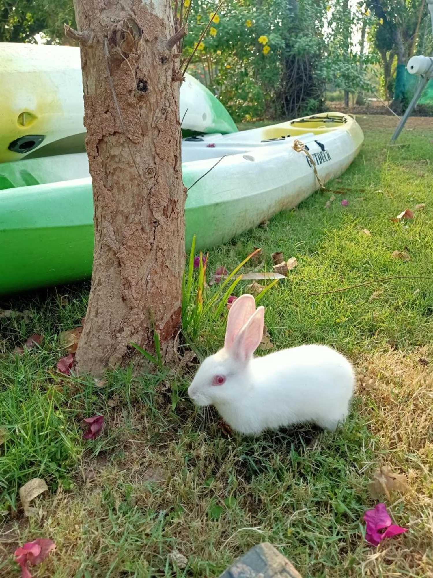 Gift card for Munroe Eco Camp