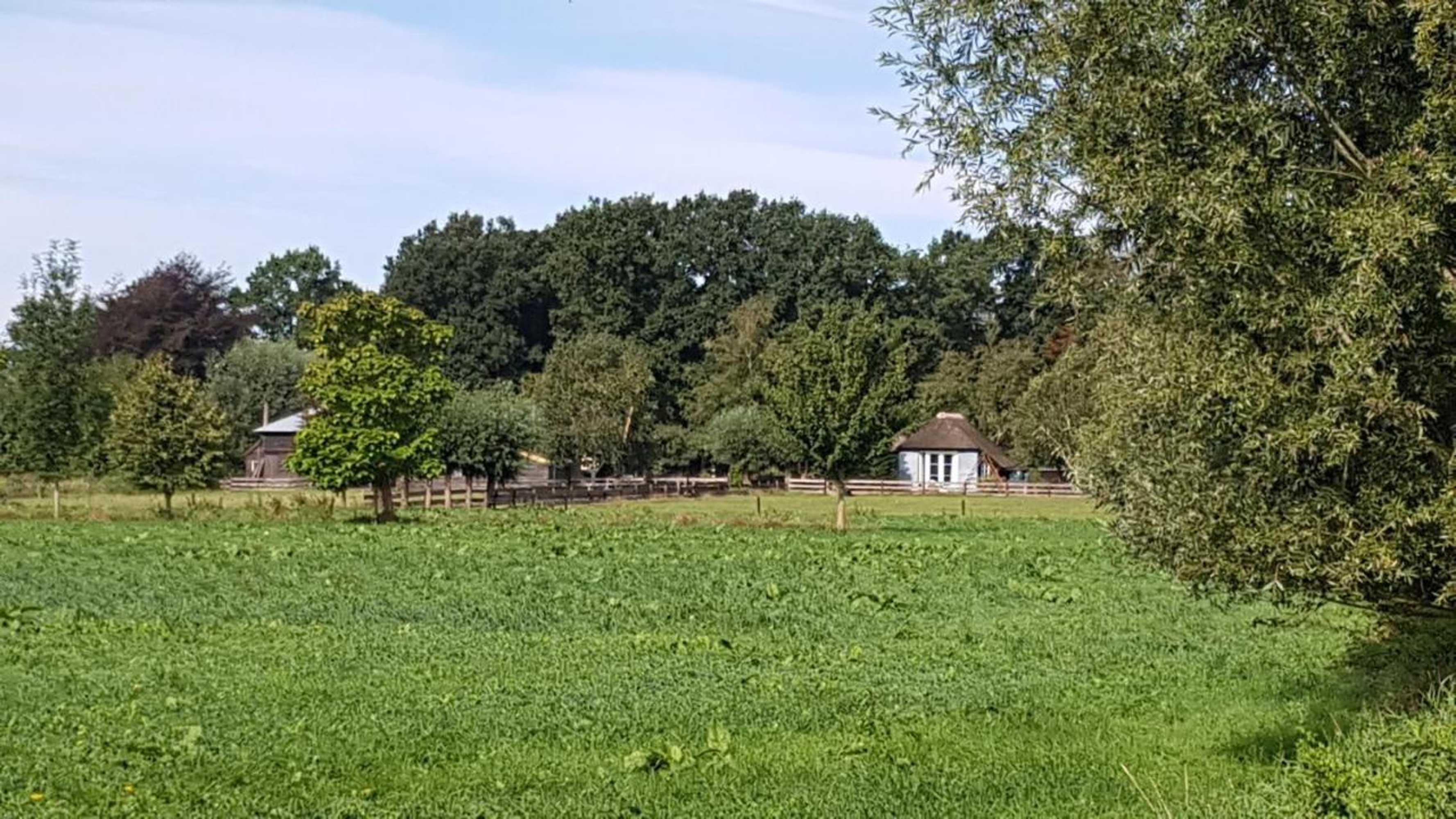 Gift card for Casaprisco