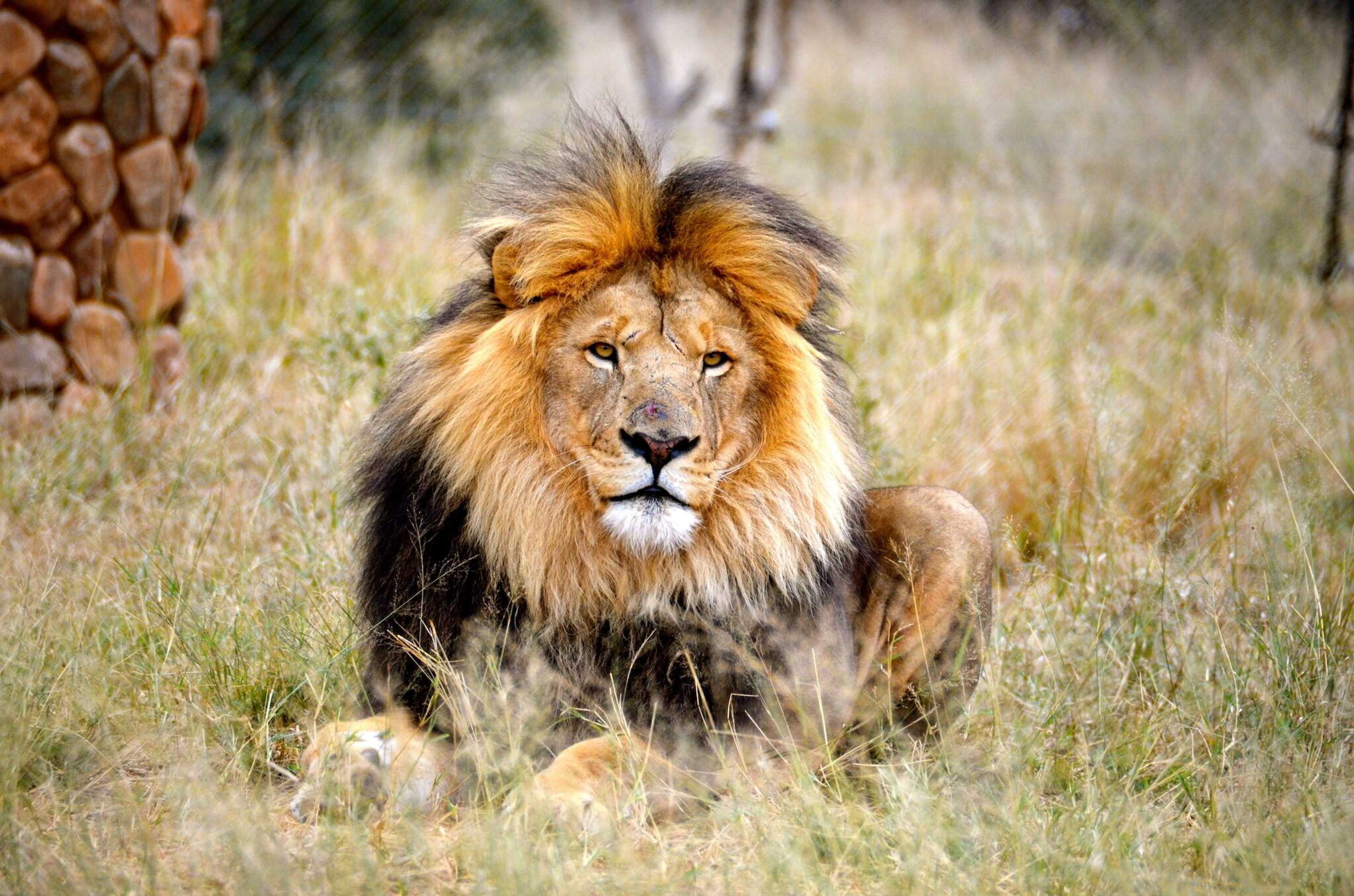Gift card for Ukutula Lodge & Game Reserve Gift card for Ukutula Lodge & Game Reserve