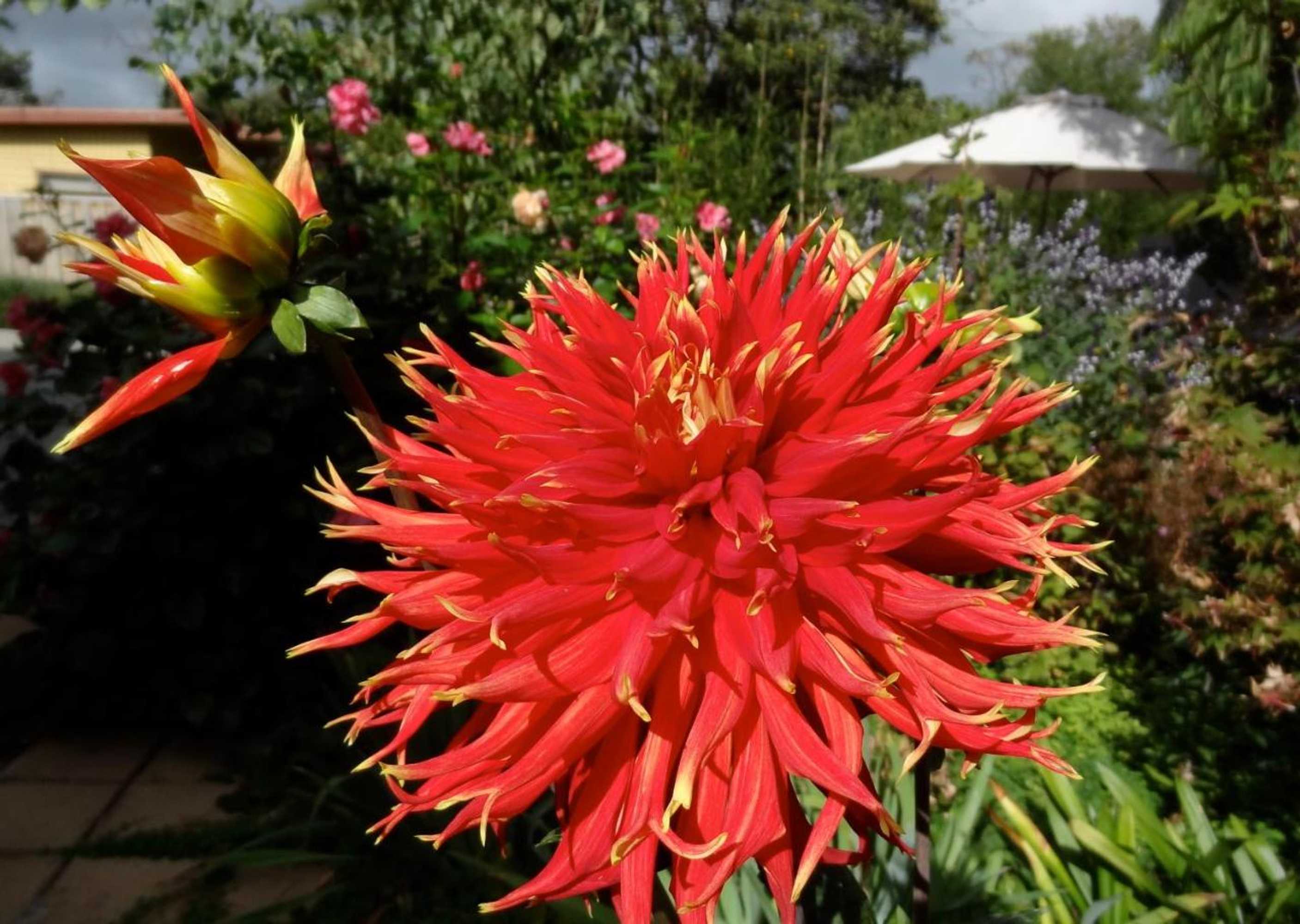 Gift card for The Gallery Accommodation Mccrae Gift card for The Gallery Accommodation Mccrae