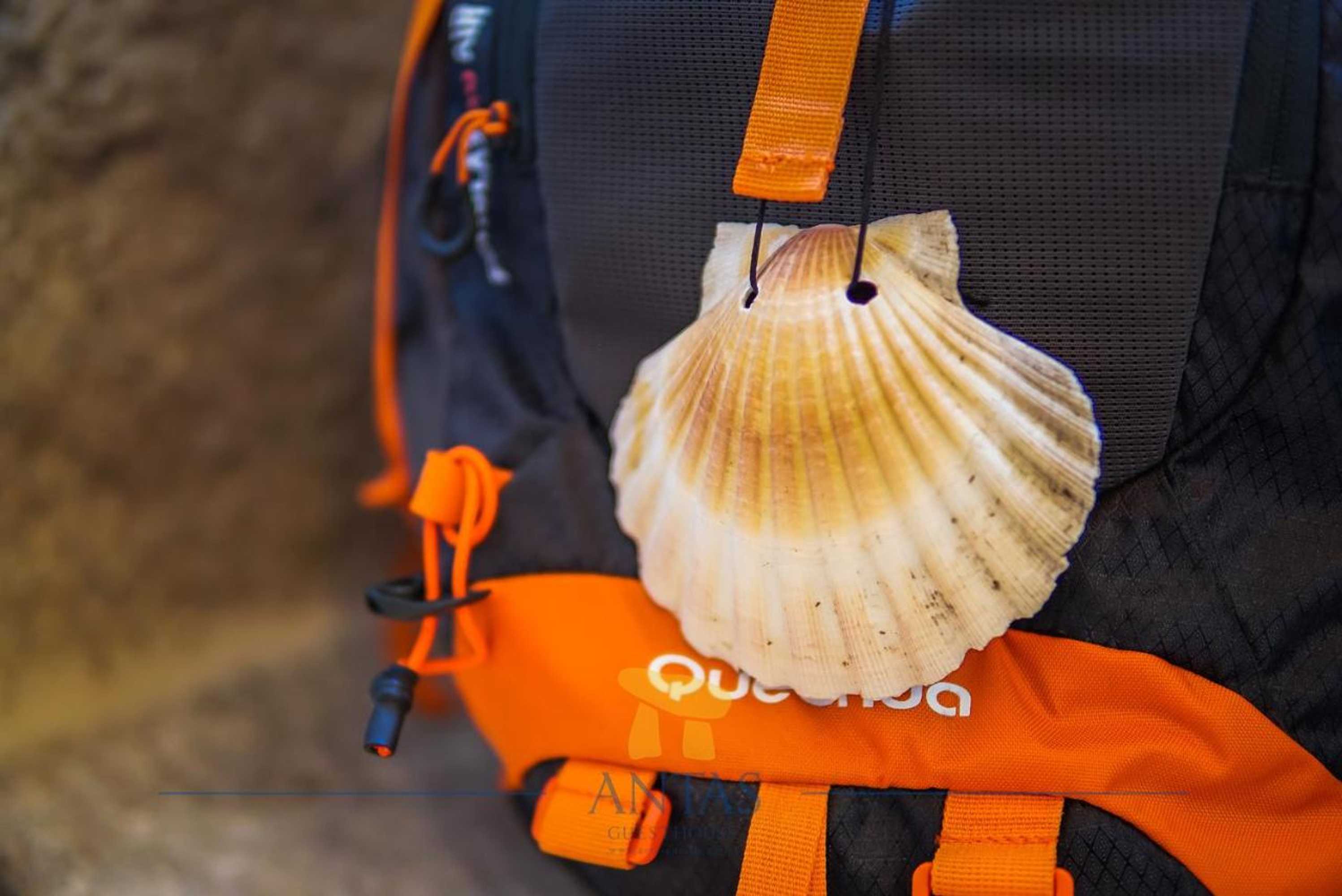 Gift card for Antas Guest House