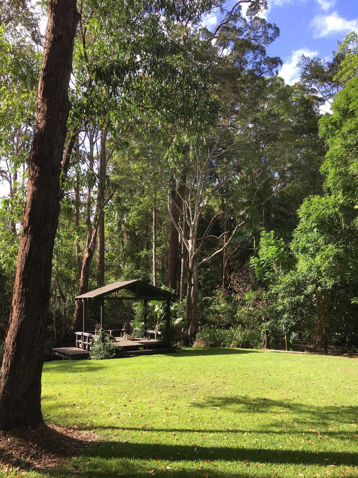 Gift card for Mango Hill Farm