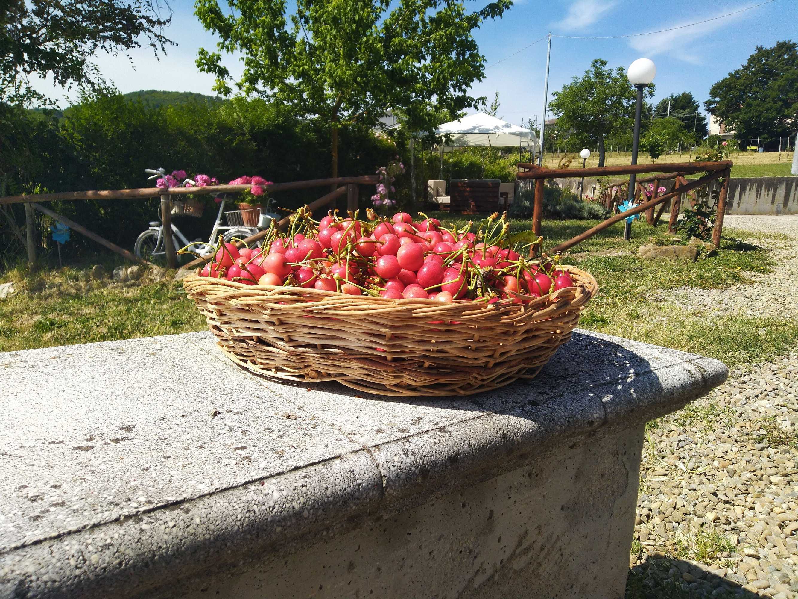 Gift card for Agriturismo Casale 1921 Gift card for Agriturismo Casale 1921