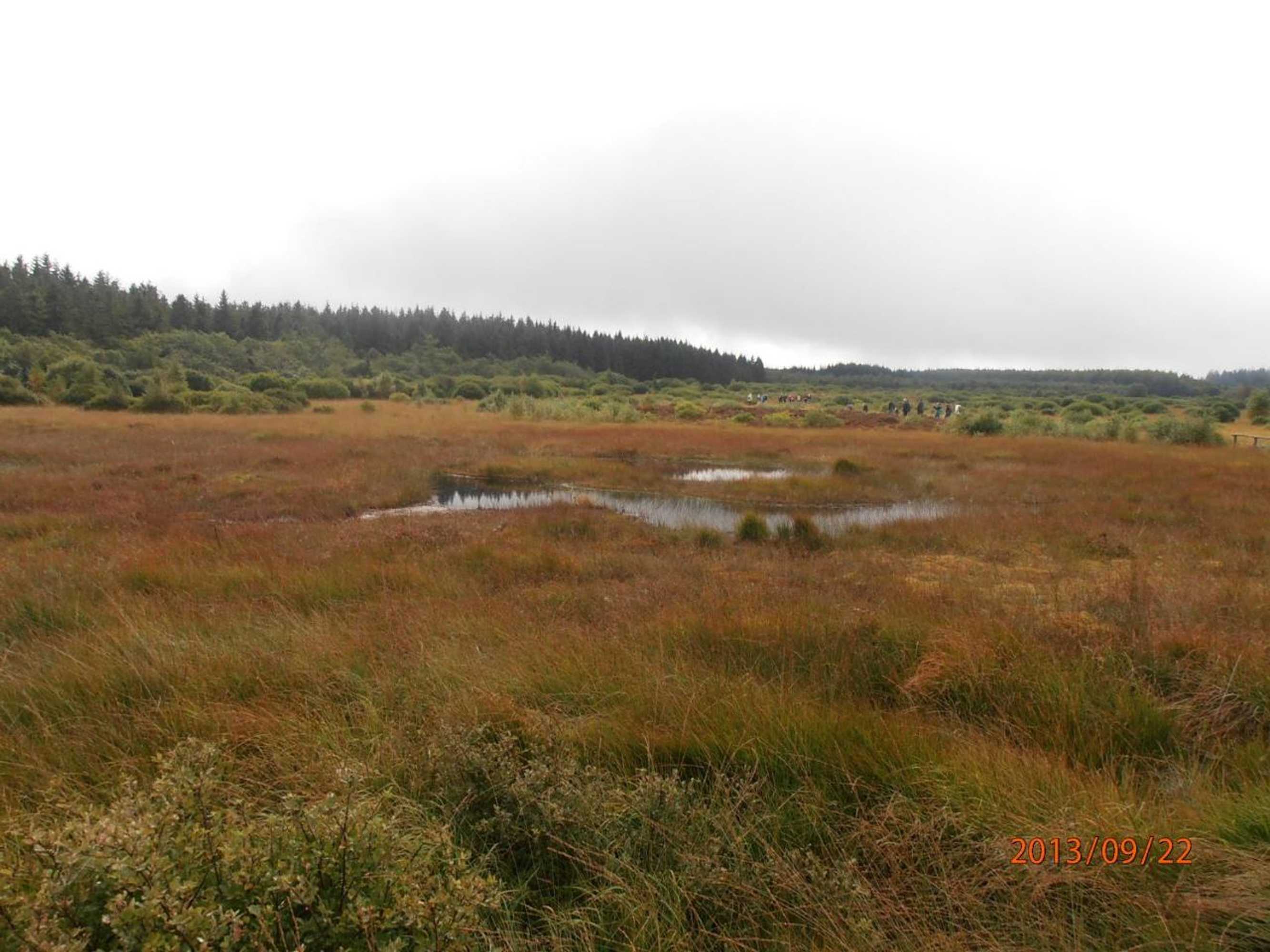 Gift card for Ferienwohnung Peters