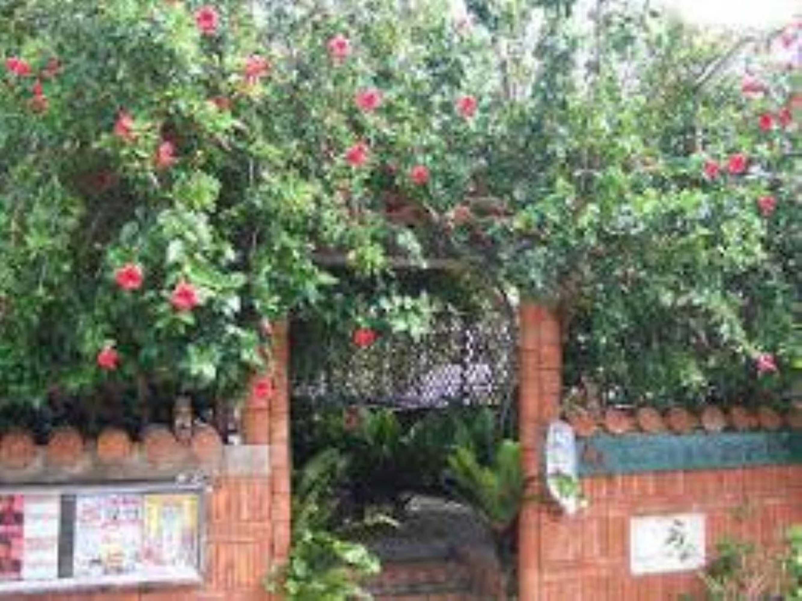 Gift card for Minshuku Itoman Garigari Oshiro - Vacation Stay 25712v