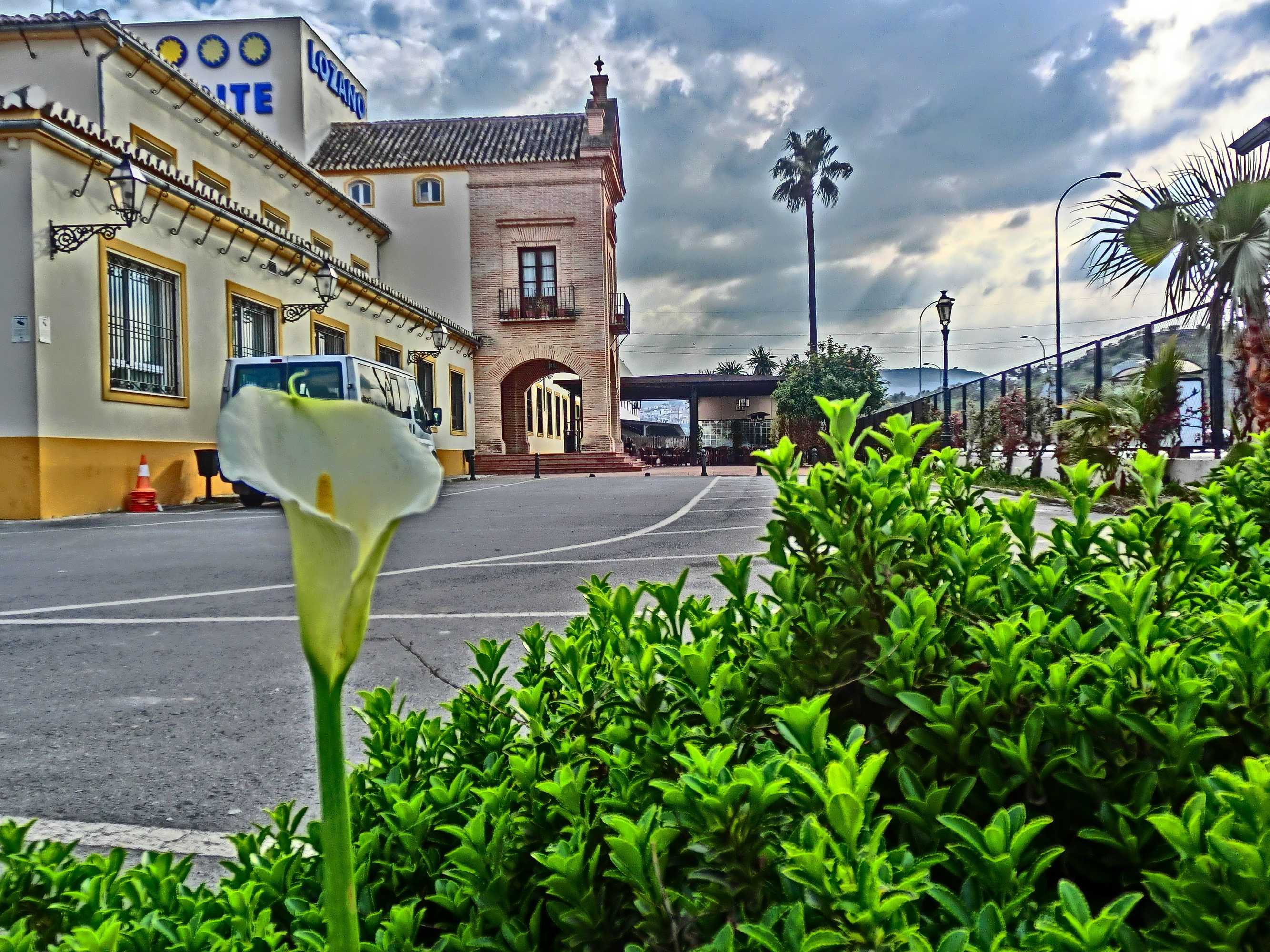 Gift card for Hotel Lozano Gift card for Hotel Lozano