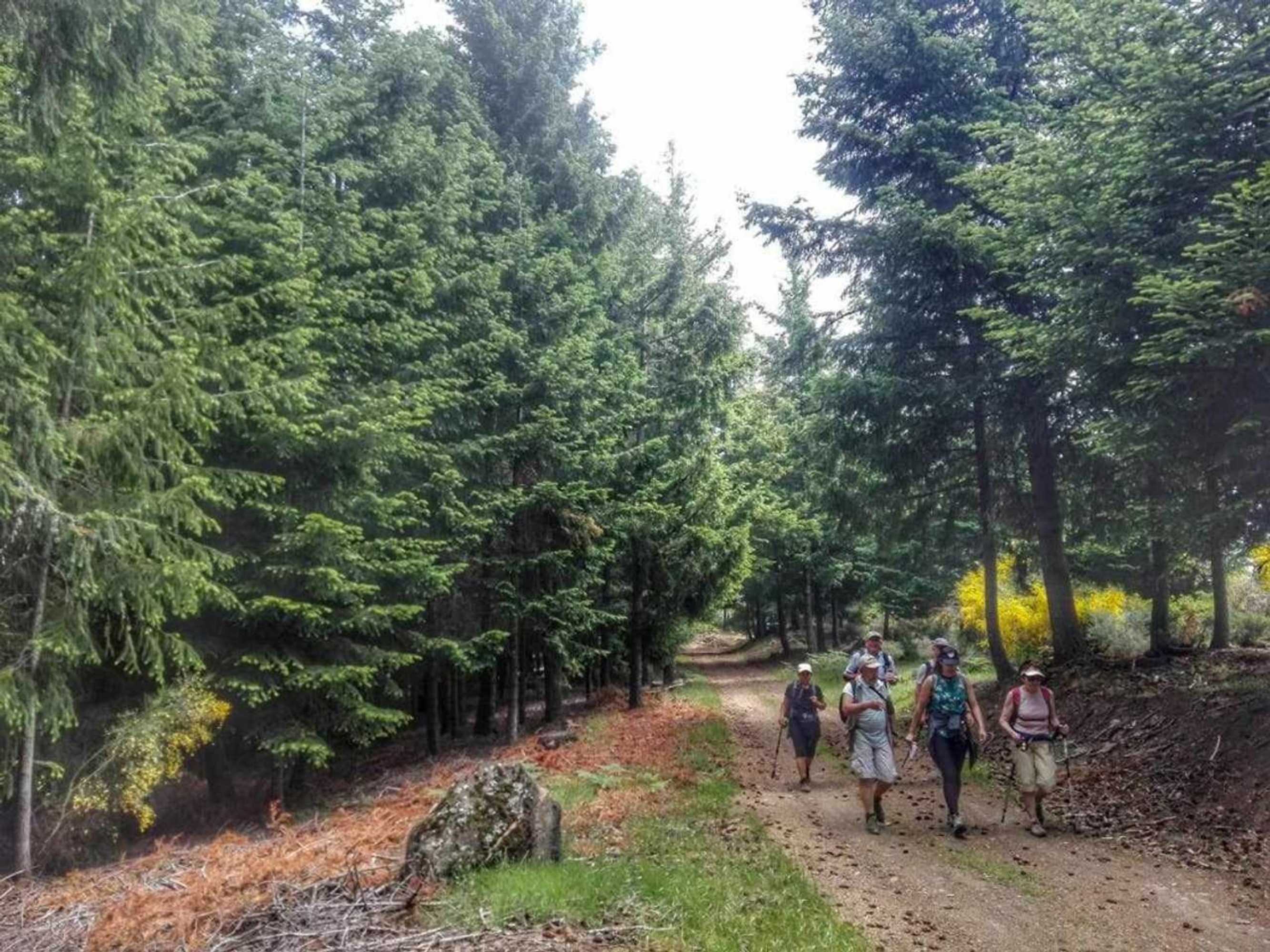 Gift card for Casa de Santa Ana da Beira