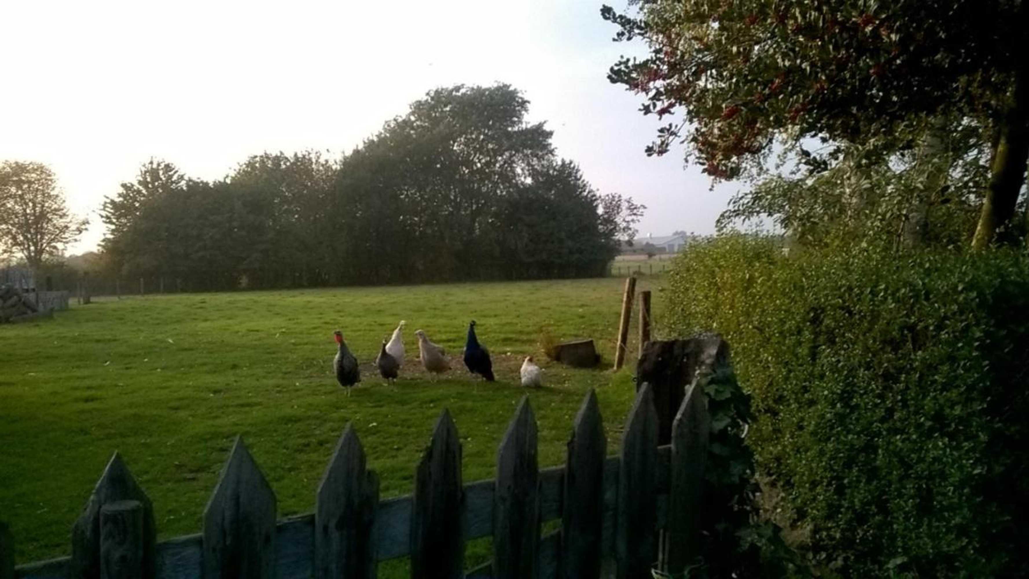 Gift card for Bed op de Reth