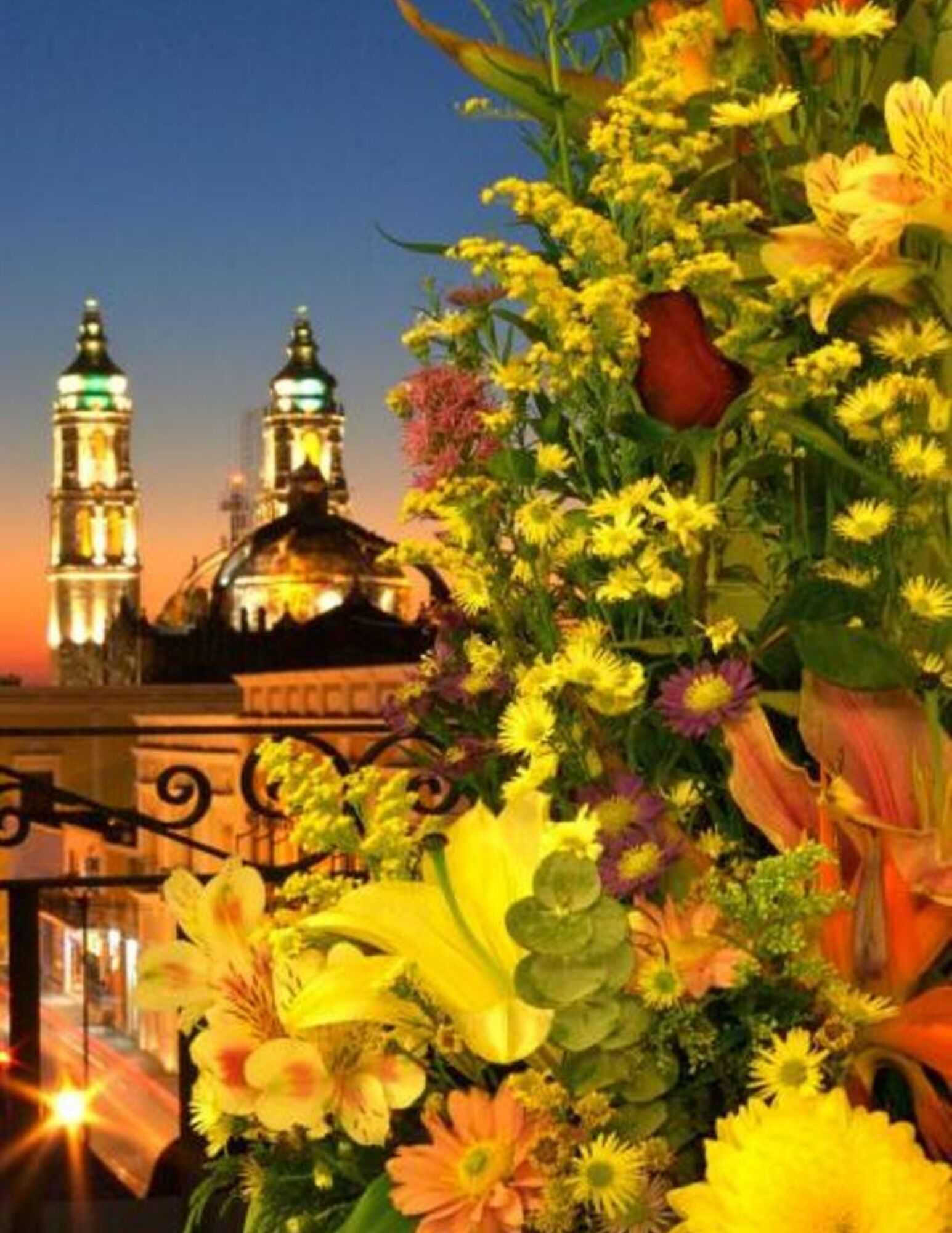 Gift card for Hotel Plaza Colonial Gift card for Hotel Plaza Colonial