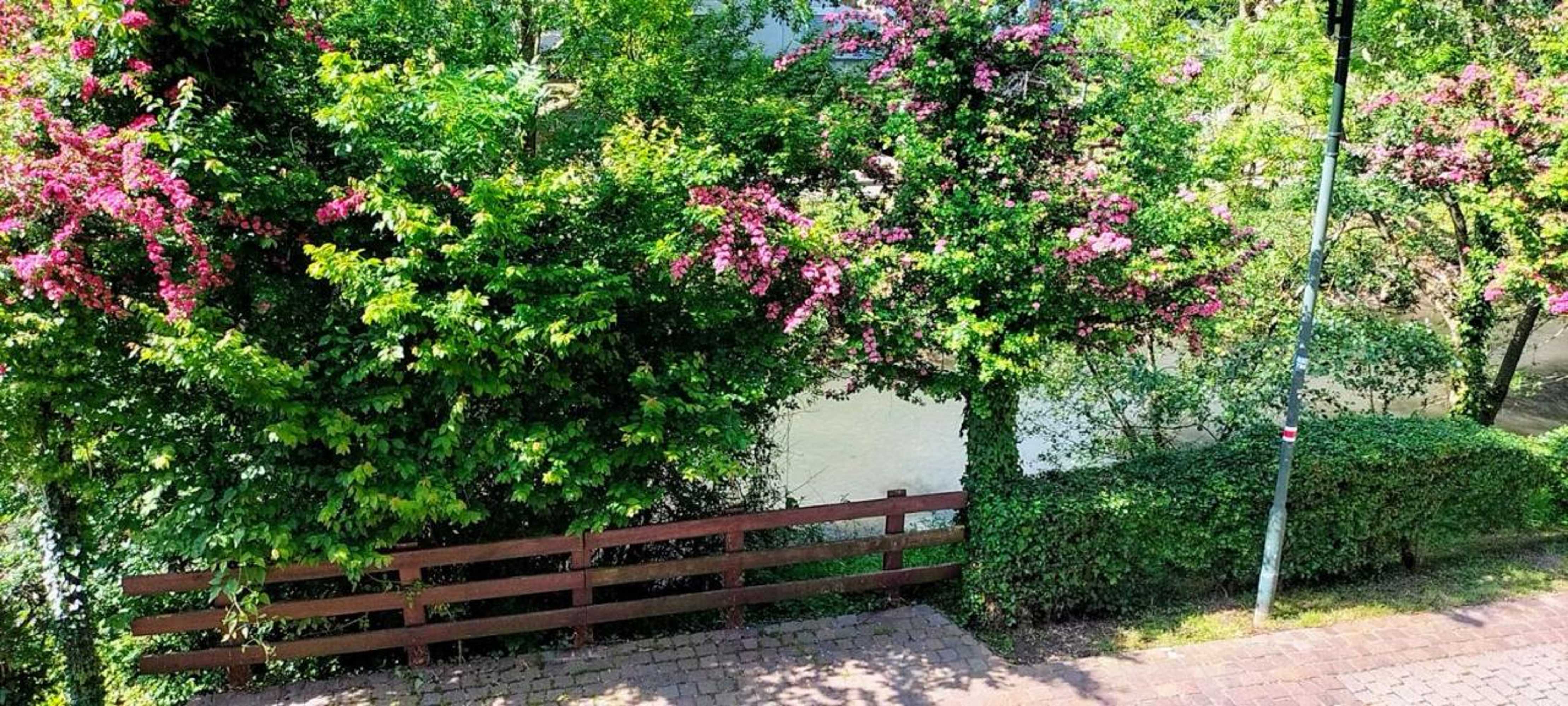 Gift card for Alte Stadtmauer - Apartment