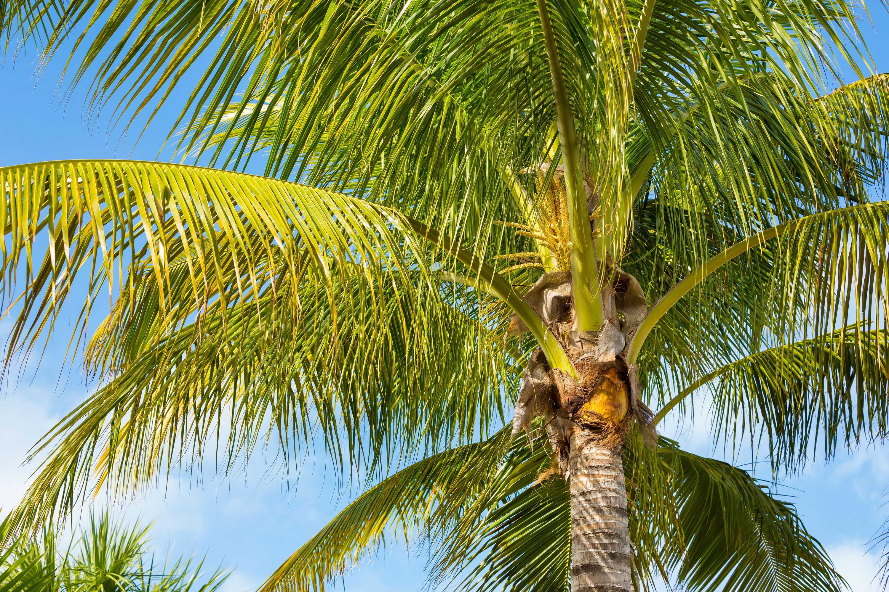 Gift card for The Marker Key West Harbor Resort Gift card for The Marker Key West Harbor Resort