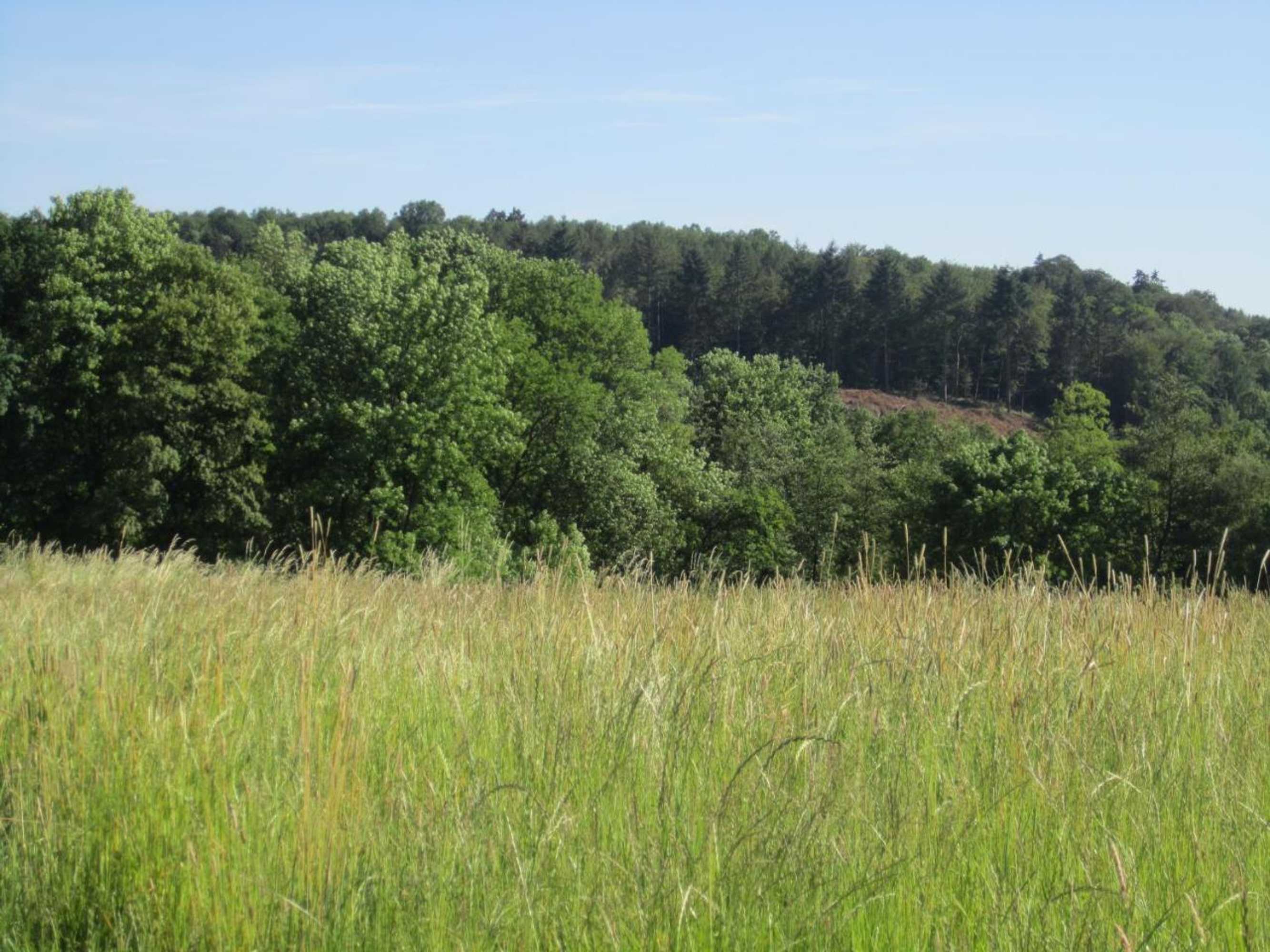 Gift card for Ferienwohnung Erlenhof