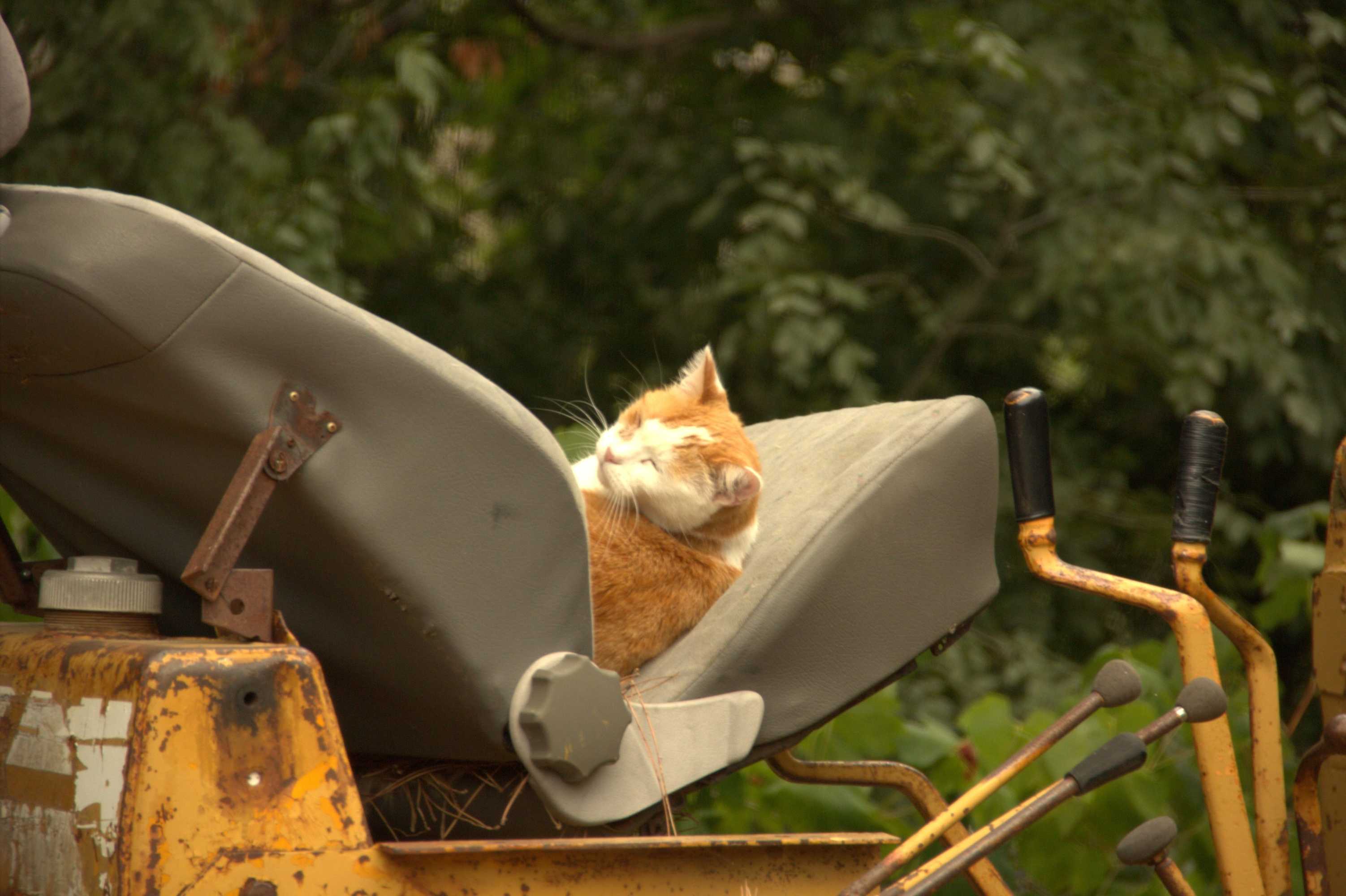 Gift card for Le Petit Chateau