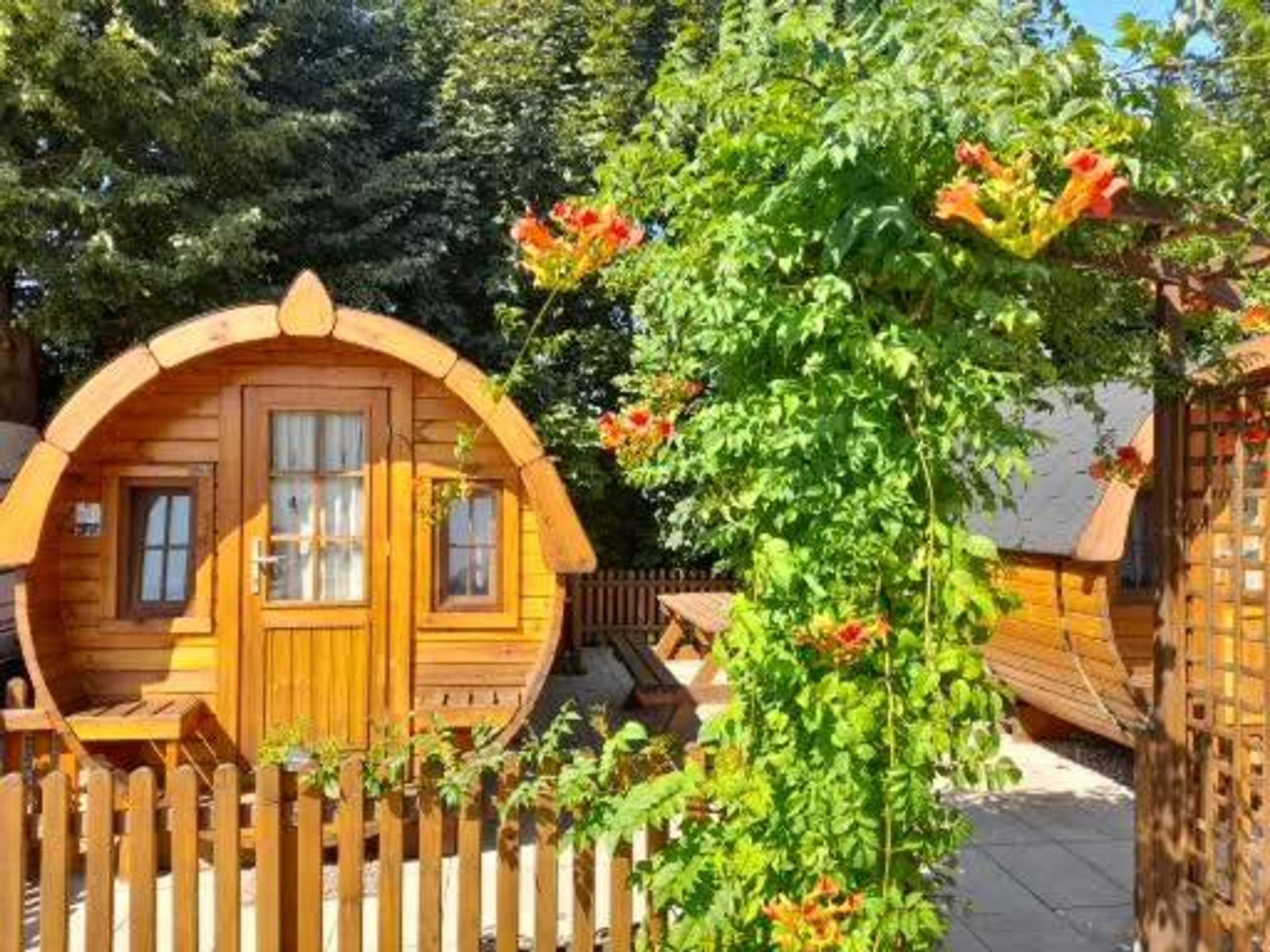 Gift card for Schlaffass-Camping Gutshof Donauried