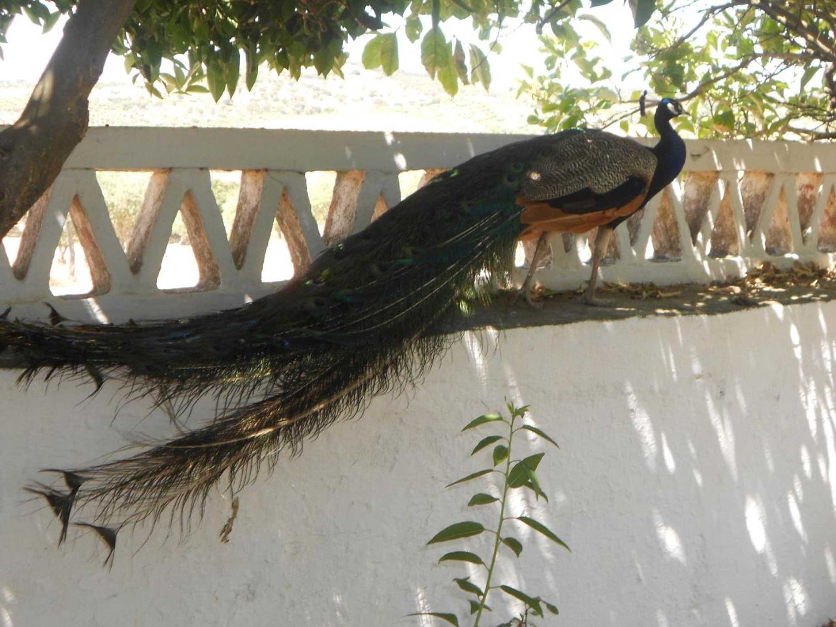 Gift card for Monte Das Galhanas