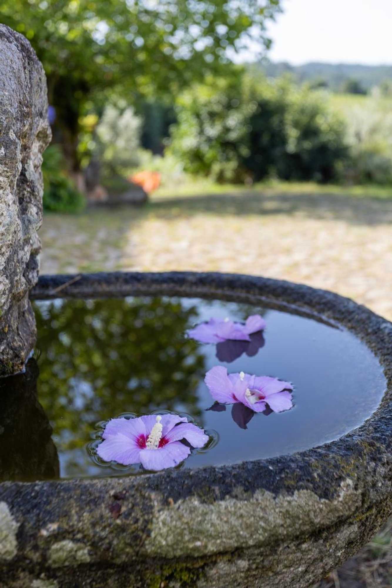 Gift card for Quinta da Comenda