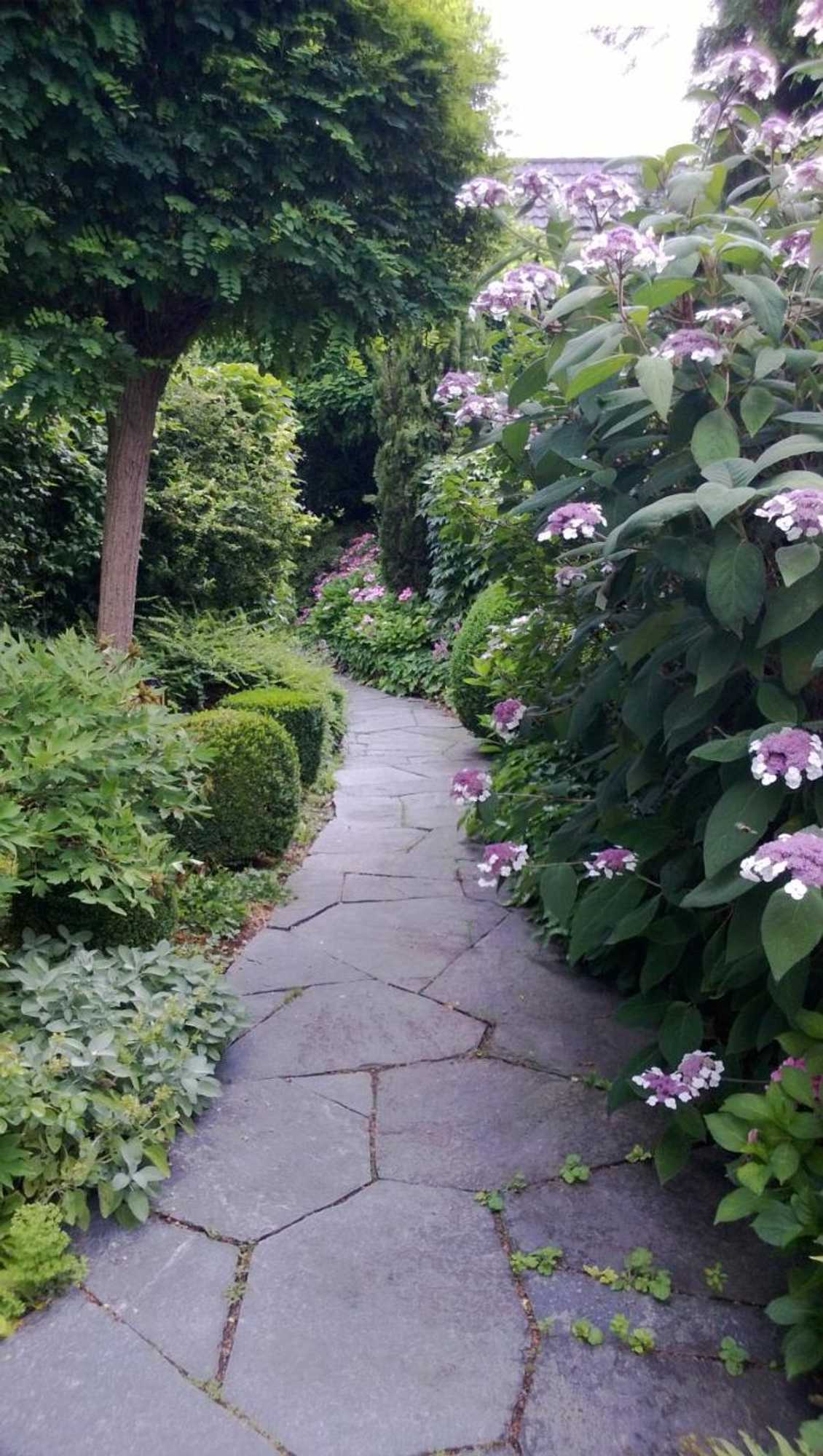 Gift card for Hotel Krone Überlingen am Ried