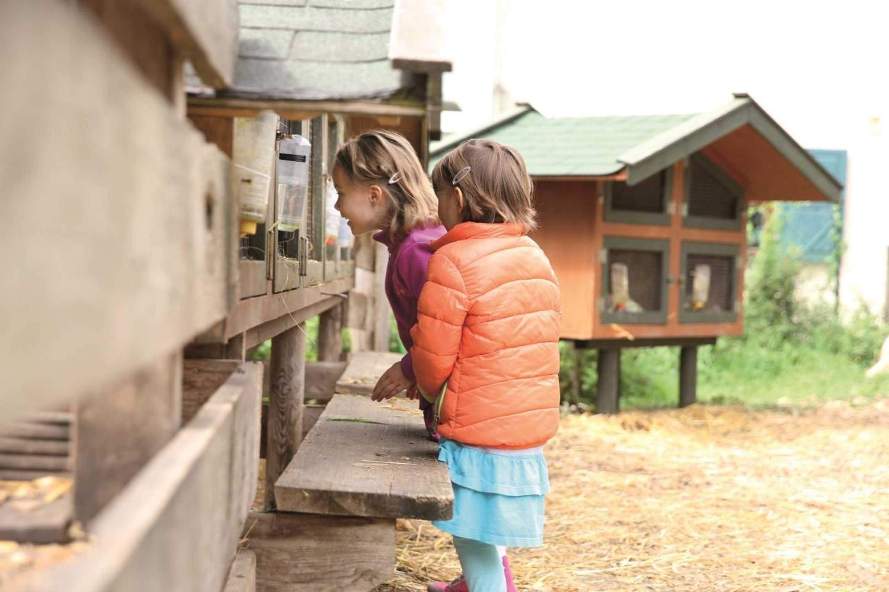 Gift card for Sepperlwirt