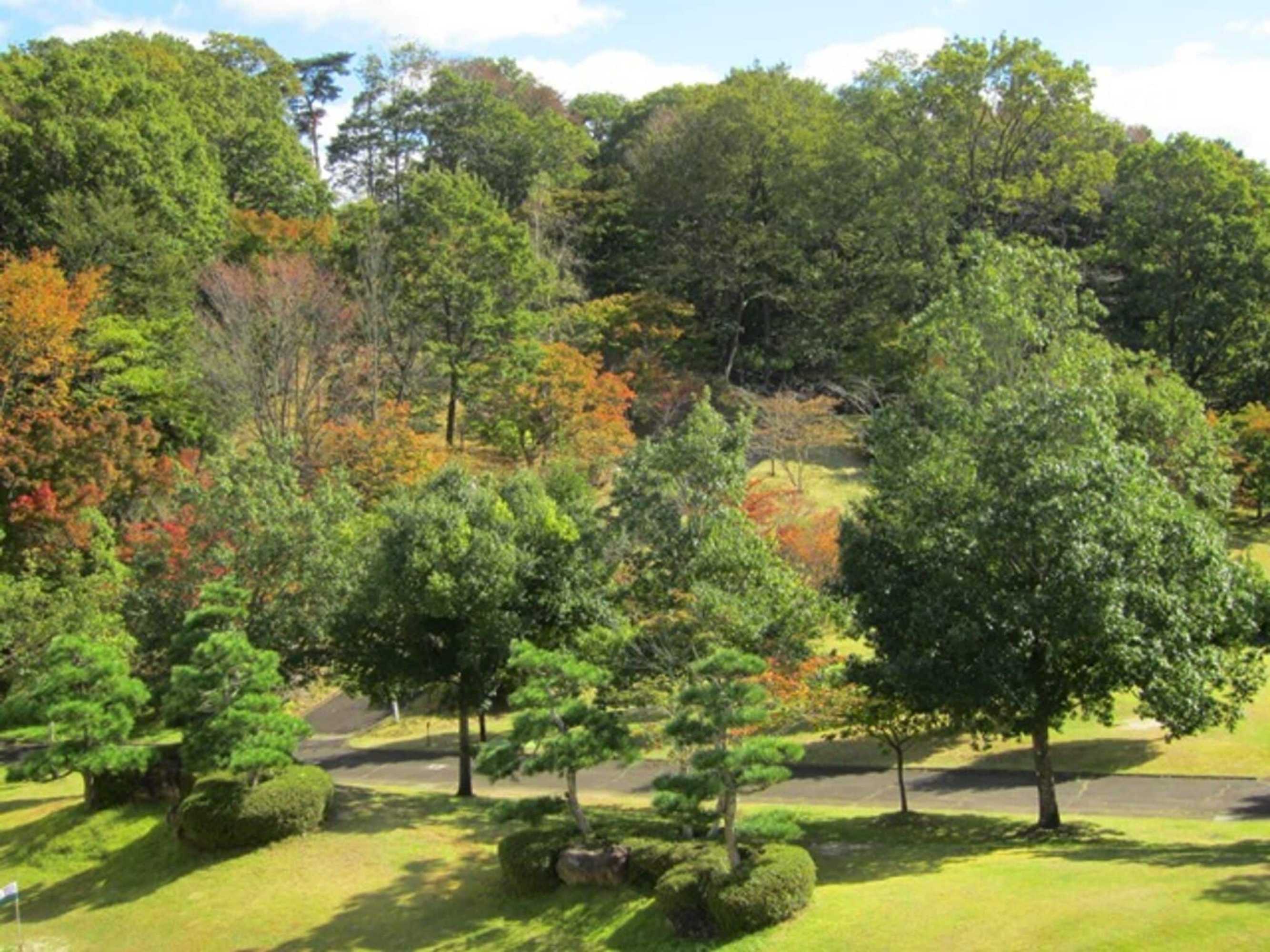 Gift card for Hotel Tetora Resort Sendai Iwanuma